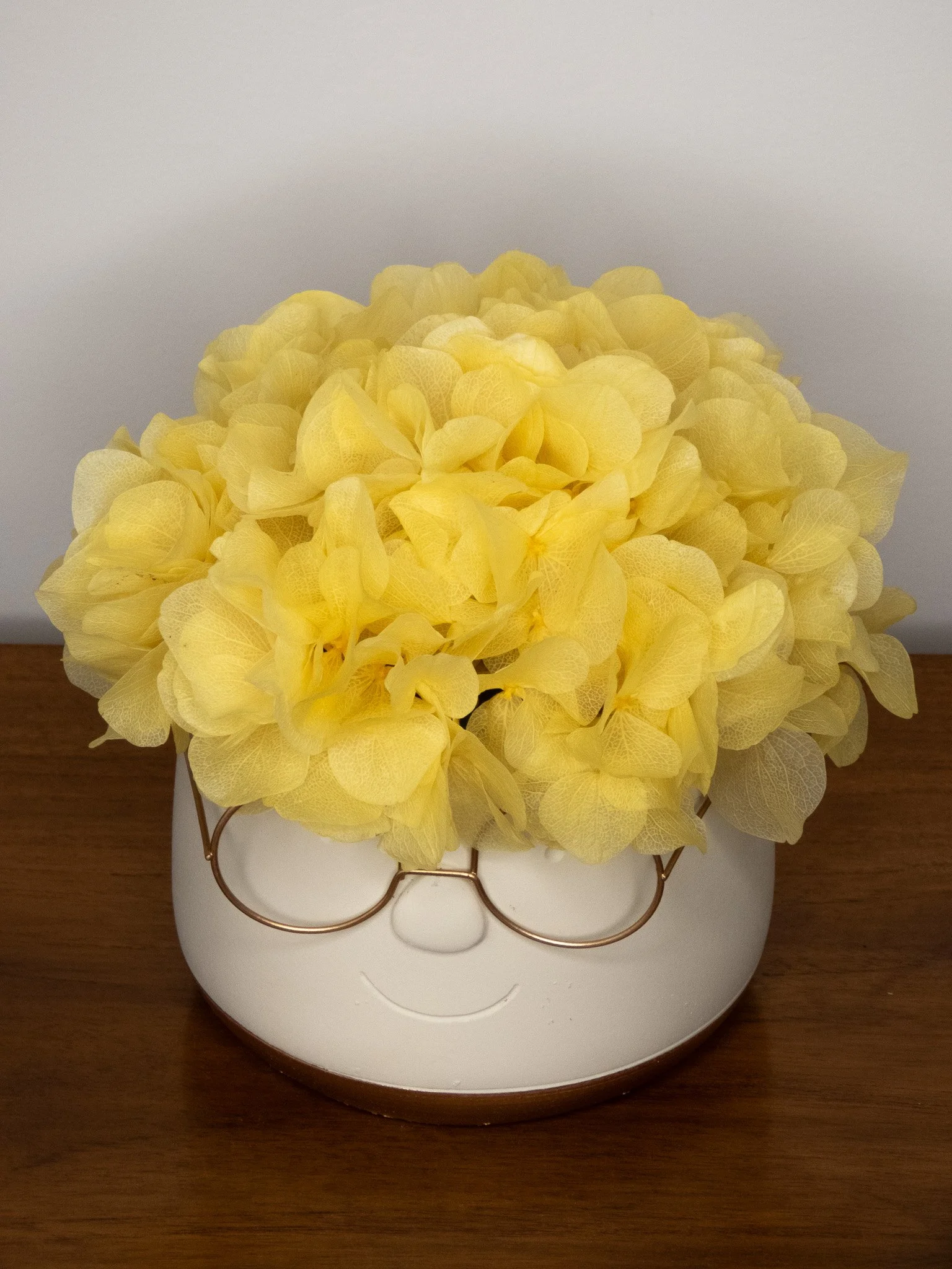 Adorable HARRY grande de flor preservada Flor de Lava