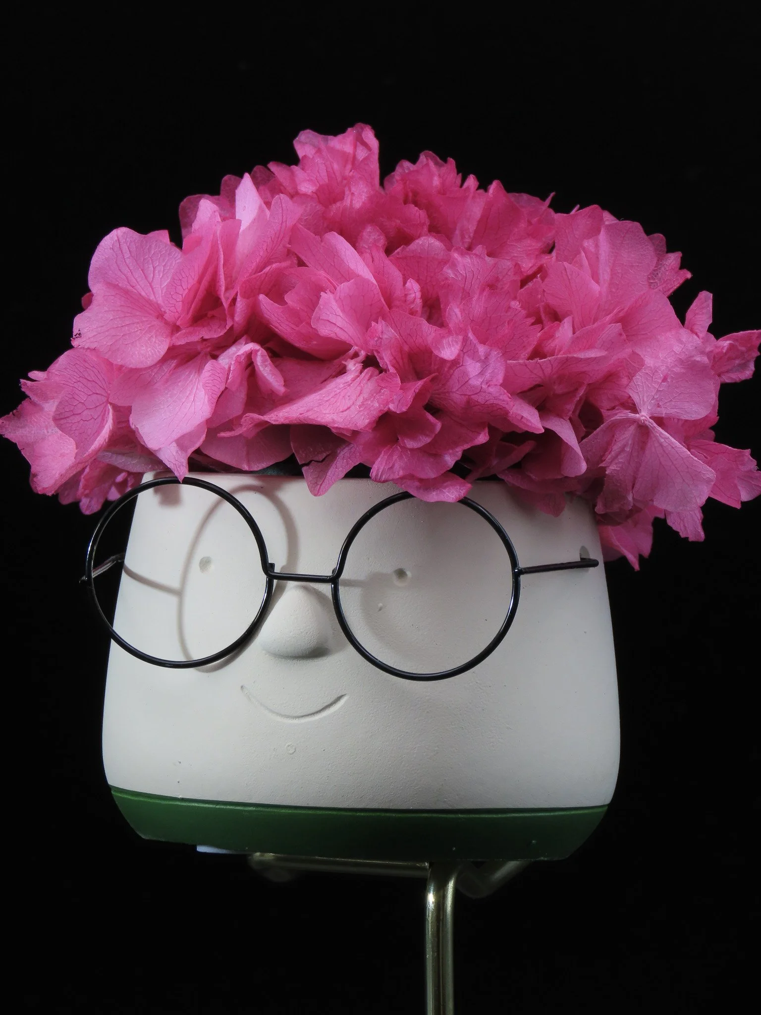 Adorable HARRY pequeño de flor preservada Flor de Lava