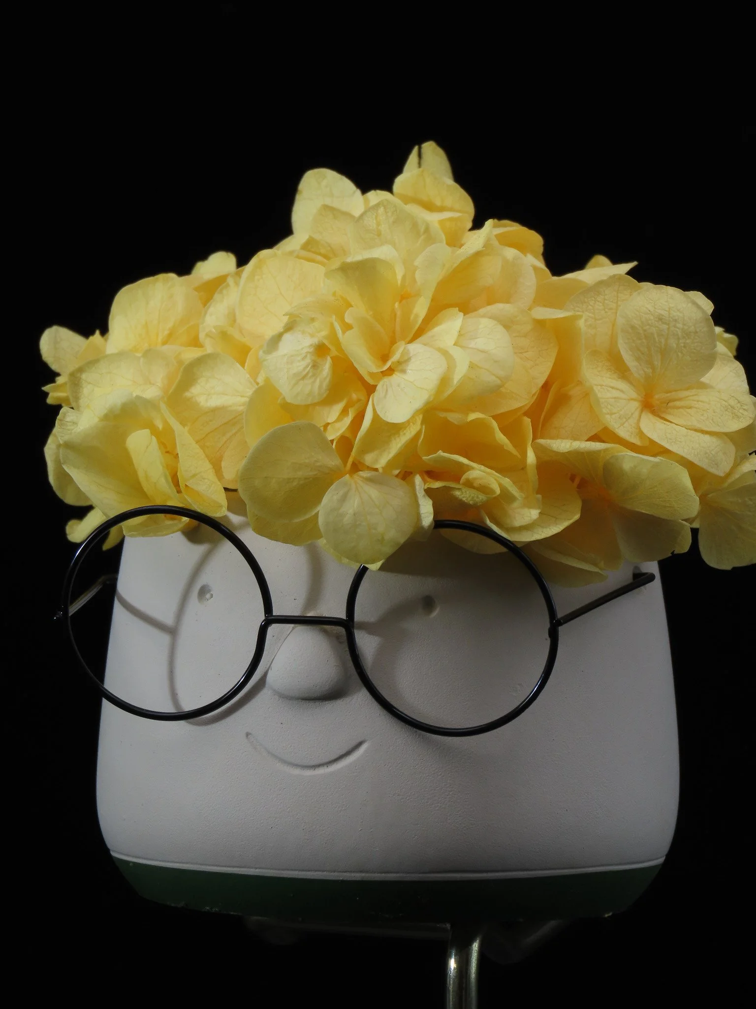 Adorable HARRY pequeño de flor preservada Flor de Lava