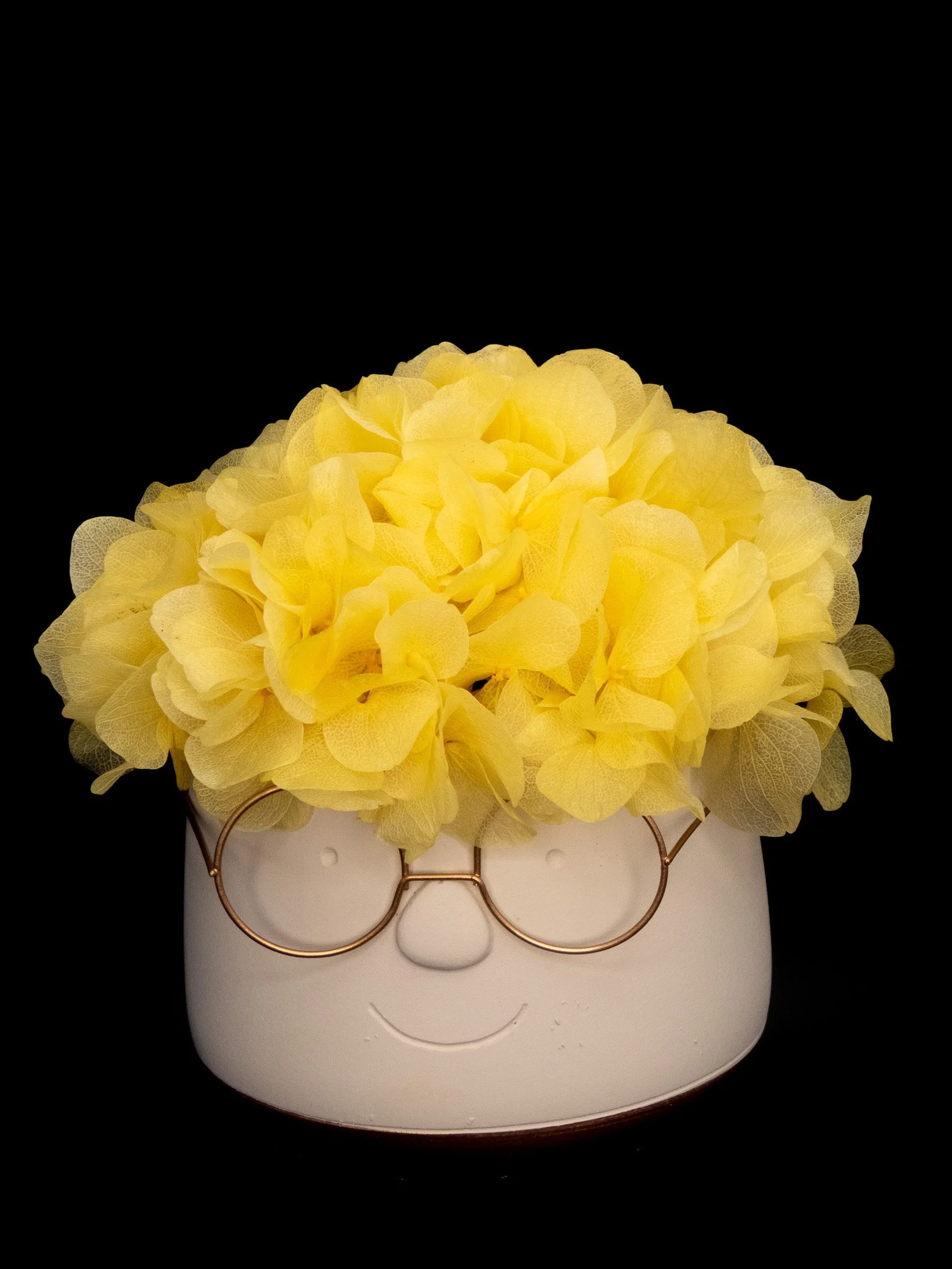 Adorable HARRY grande de flor preservada Flor de Lava