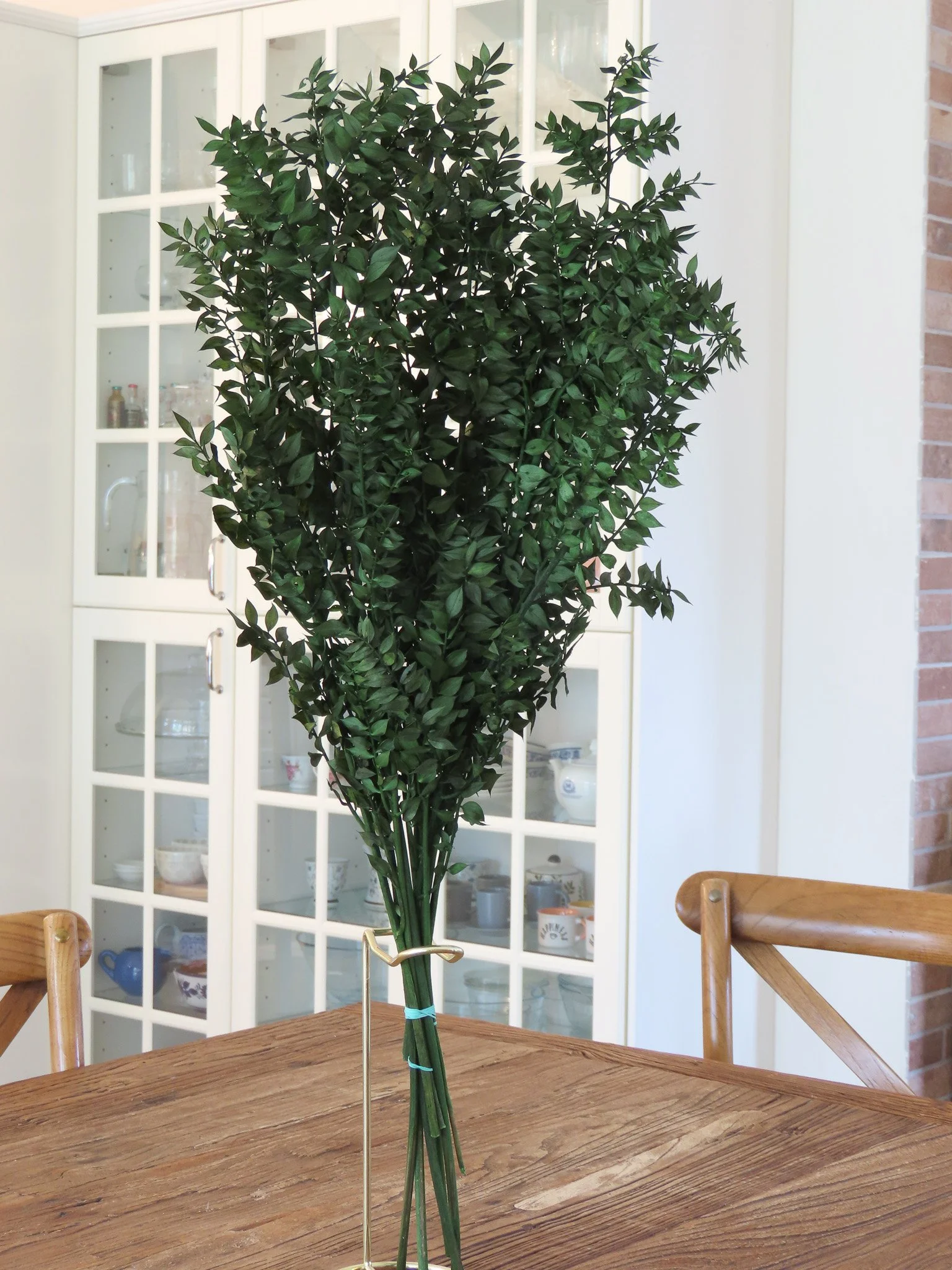 Ramo de ruscus preservado. Flor de Lava