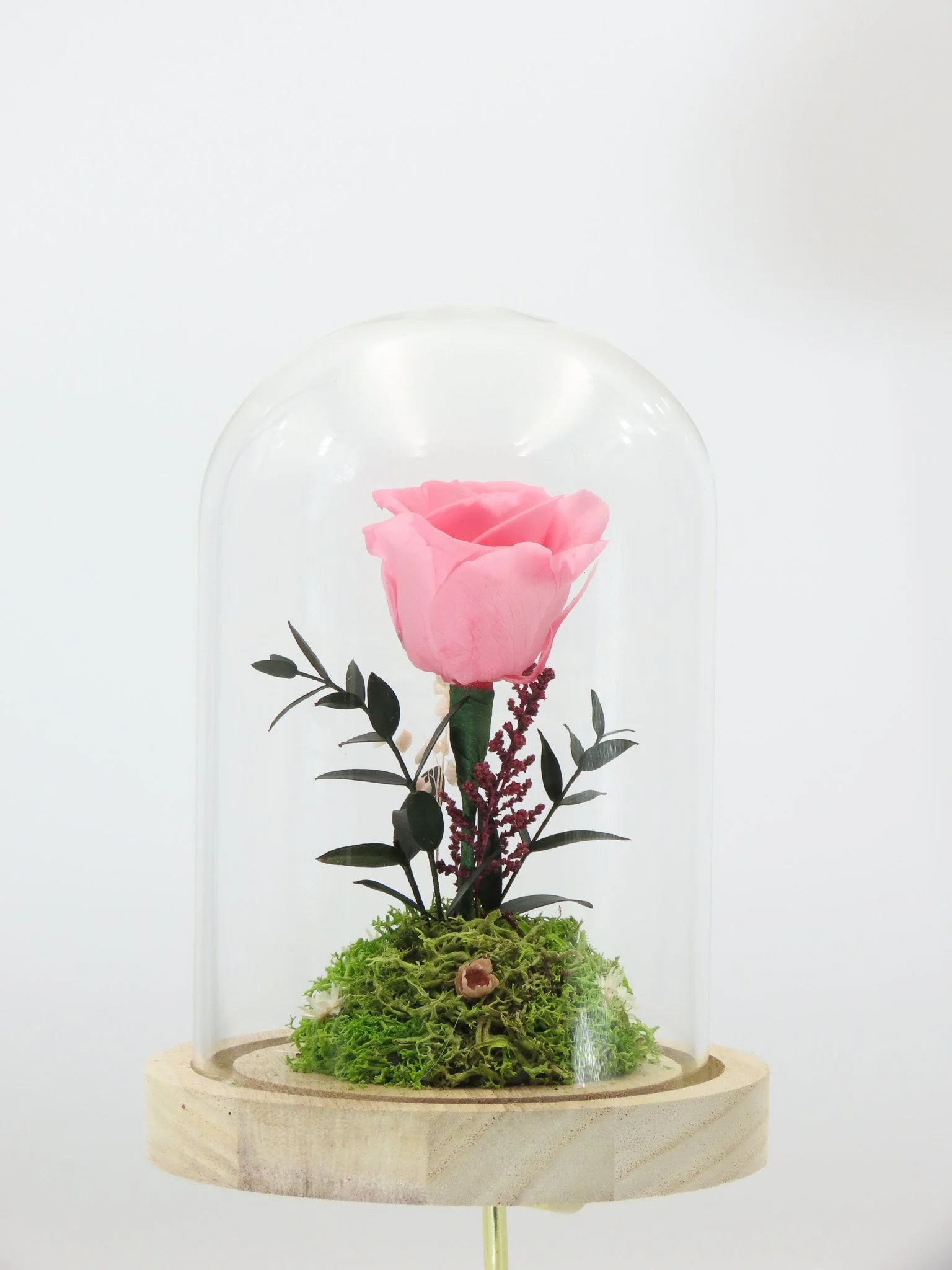 Cúpula mediana con Rosa preservada