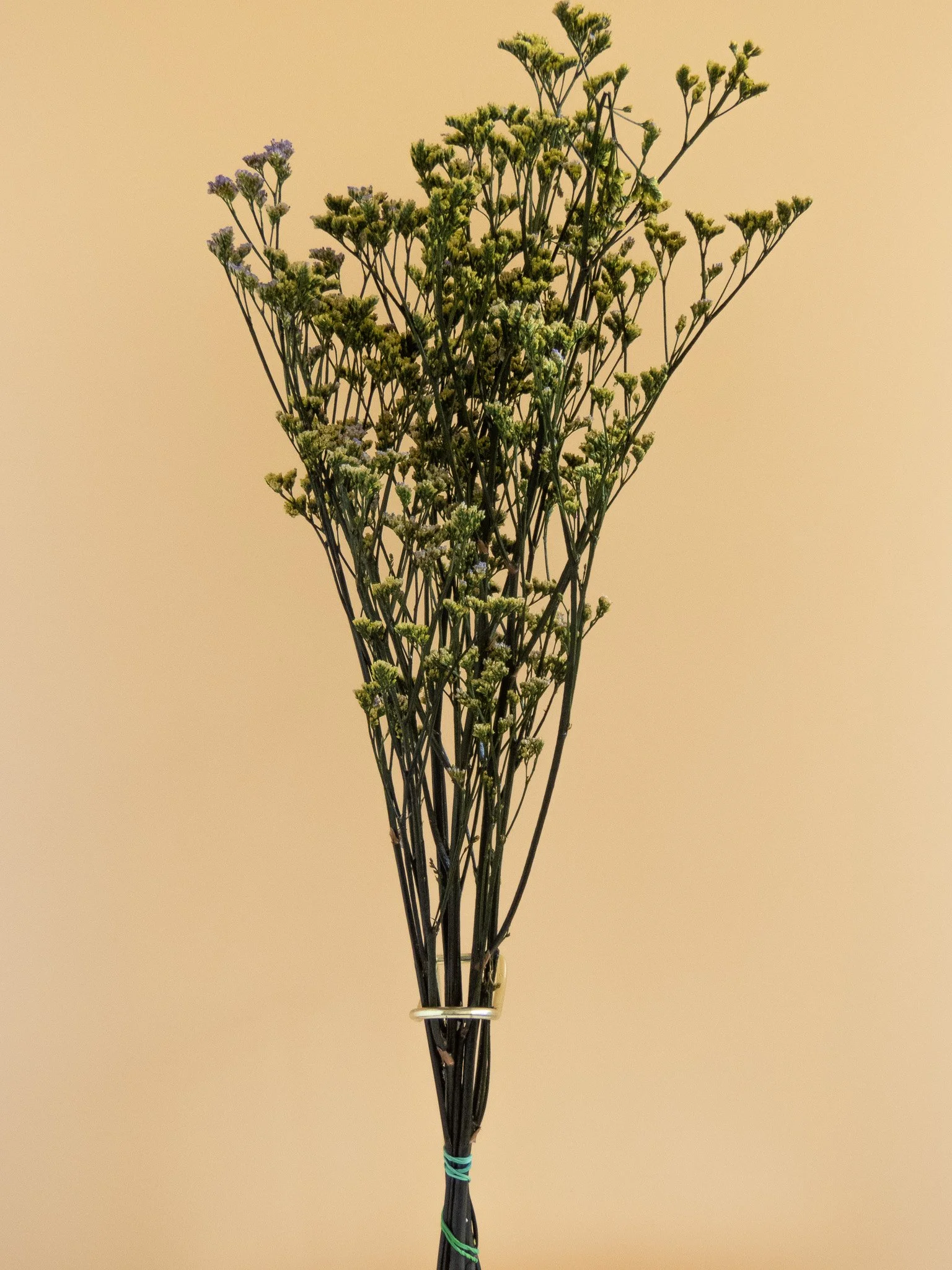 Ramito de limonium preservado. Flor de Lava