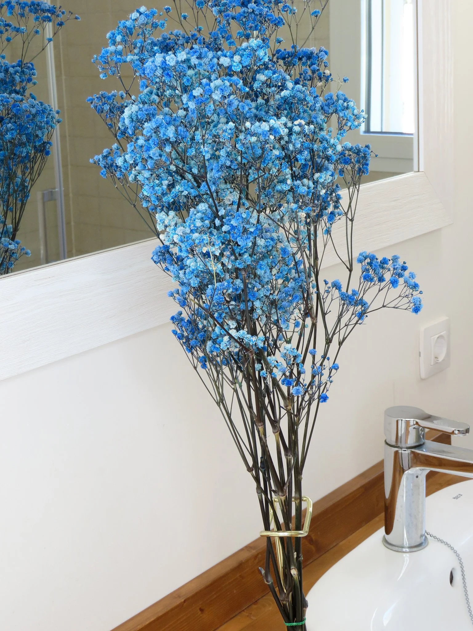 Flor de Lava. Ramo de paniculata lluvia preservada. azul