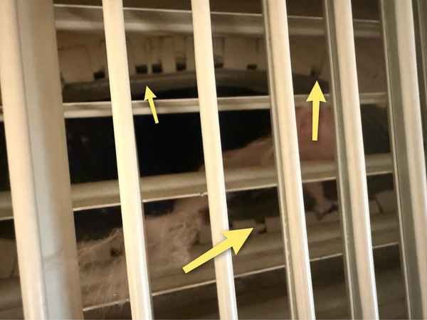 2018-Glistening-Sands-04.jpg