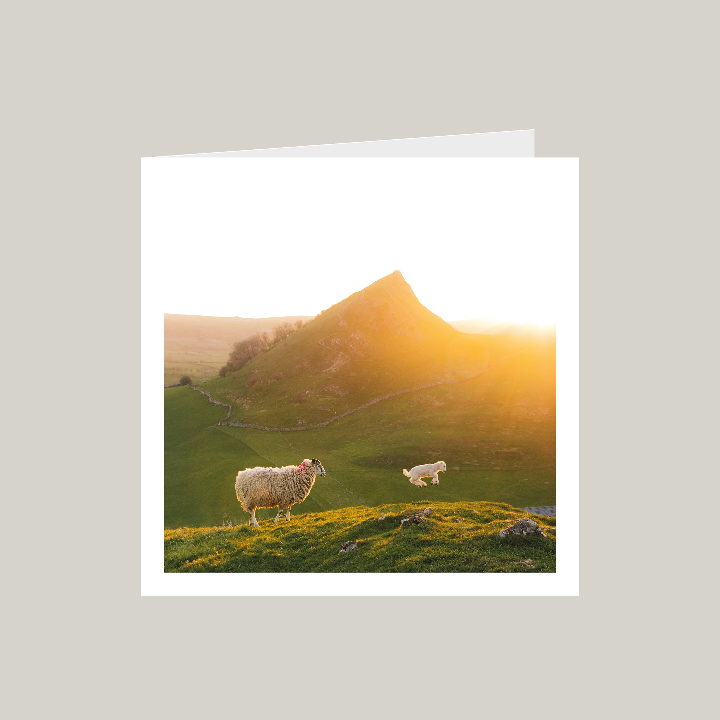Spring Into Action - GC - Squarespace.jpg