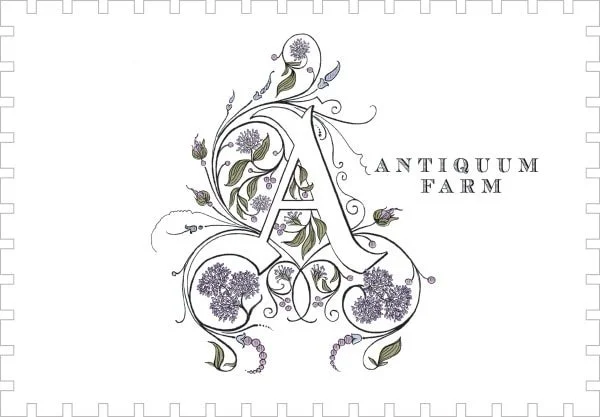 Wine Tasting - Antiquum Farm - Oregon - November 3