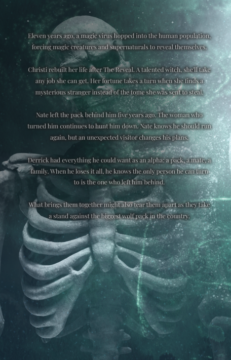 back cover.png