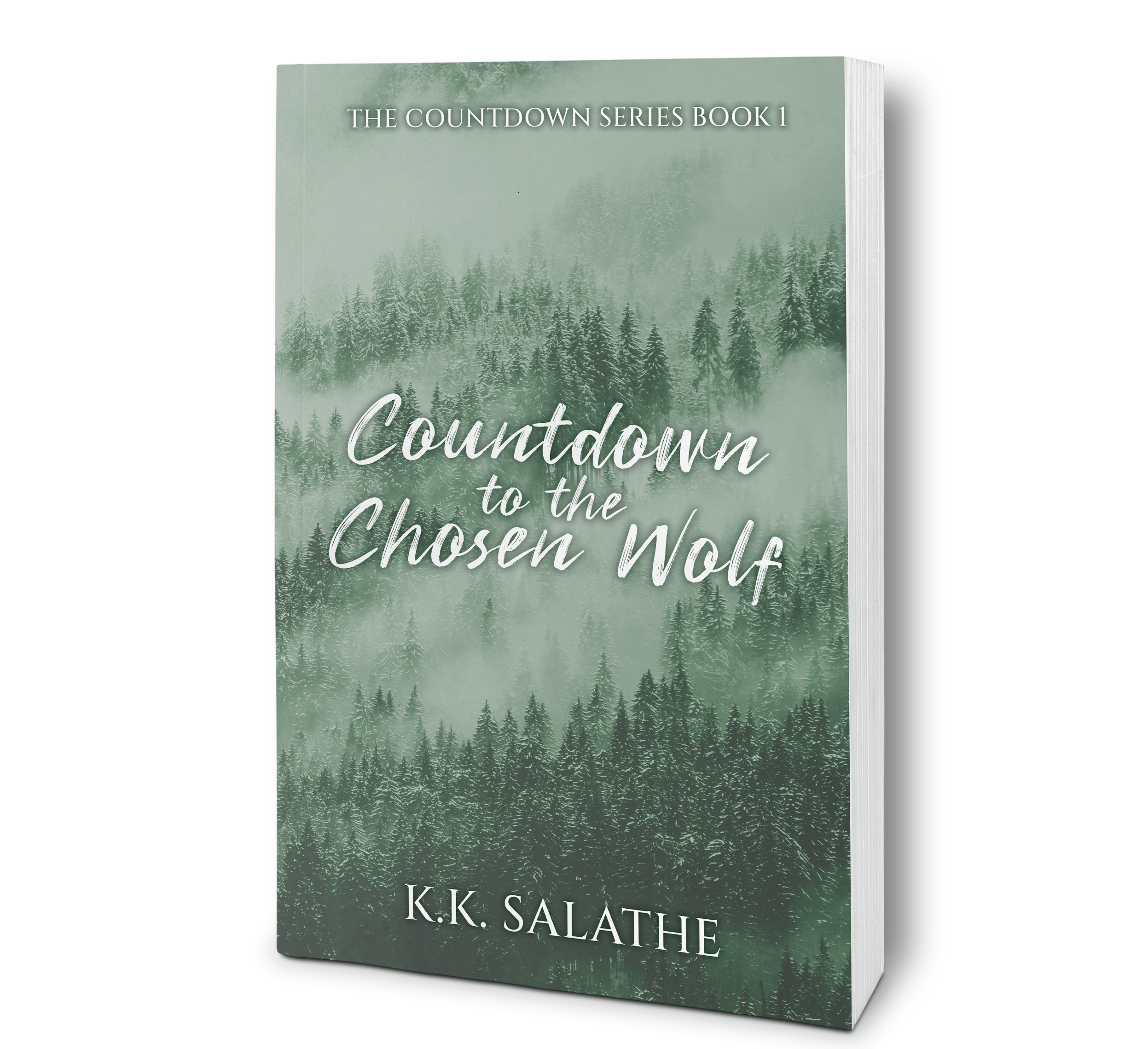 Paperback Mockup 2.png