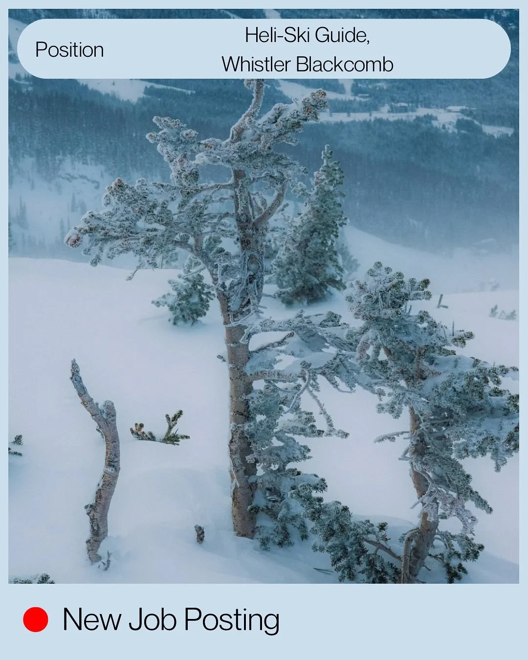 Work where the adventure never ends. 🏔
Whistler Blackcomb is hiring Heli-Ski Guides for Winter 2025/26! Deliver unforgettable backcountry experiences, guide guests through deep powder, and share your love of the mountains from a whole new perspectiv