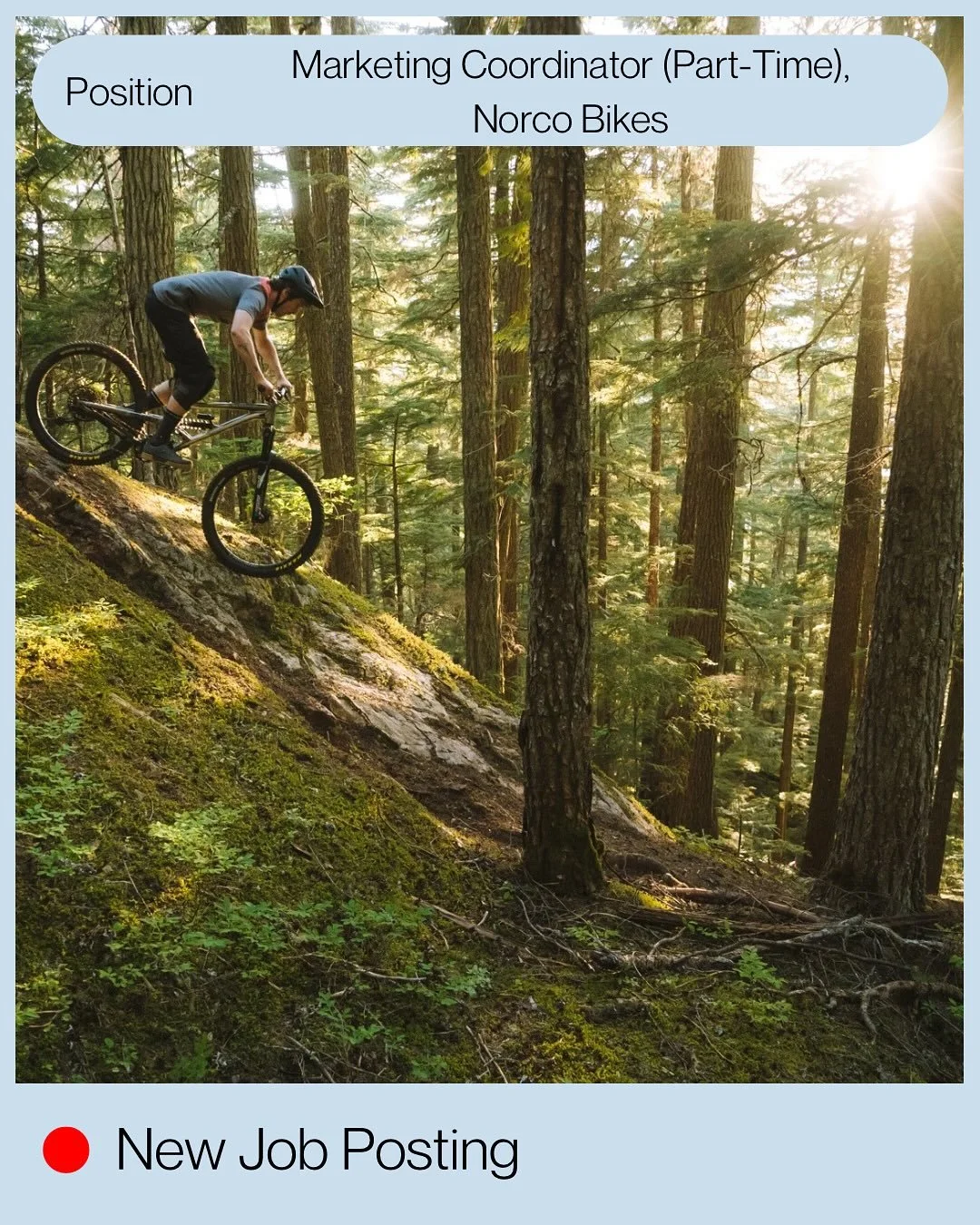 DREAM JOB ALERT 🚨 
Turn your passion for bikes into a career!

Norco Bicycles is hiring a Part-Time Marketing Coordinator to help bring their rider-first brand experiences to life.

https://livetoplaysports.com/en/careers/

#NowHiring #MarketingJobs