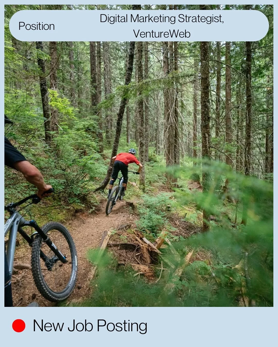 You won&rsquo;t want to miss this opportunity with @ventureweb ‼️
Work with brands that inspire adventure. 🌍
VentureWeb is hiring a Digital Marketing Strategist to lead bold, data-driven campaigns for some of the top outdoor and lifestyle brands.

h