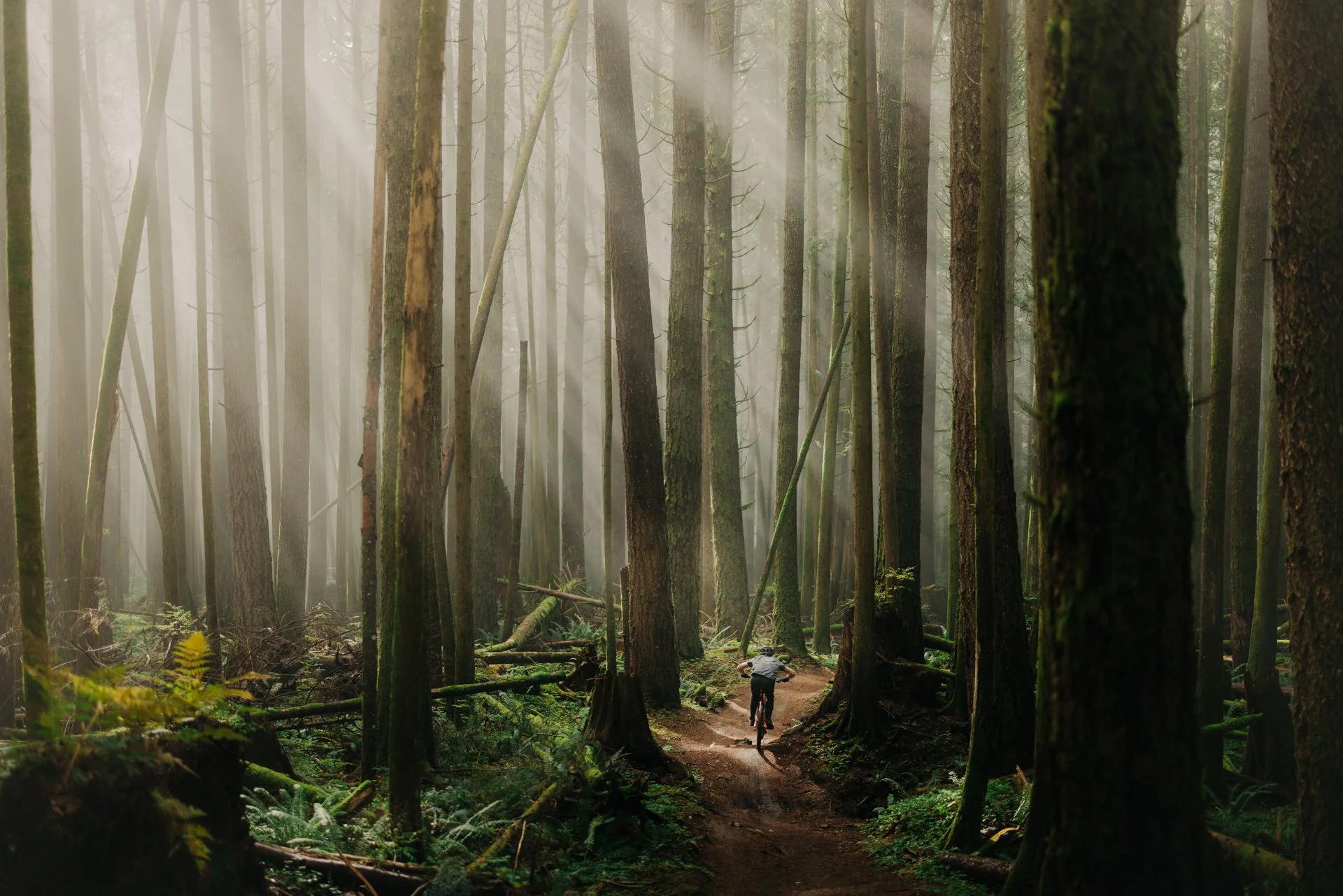 IP Basics for Outdoor Businesses