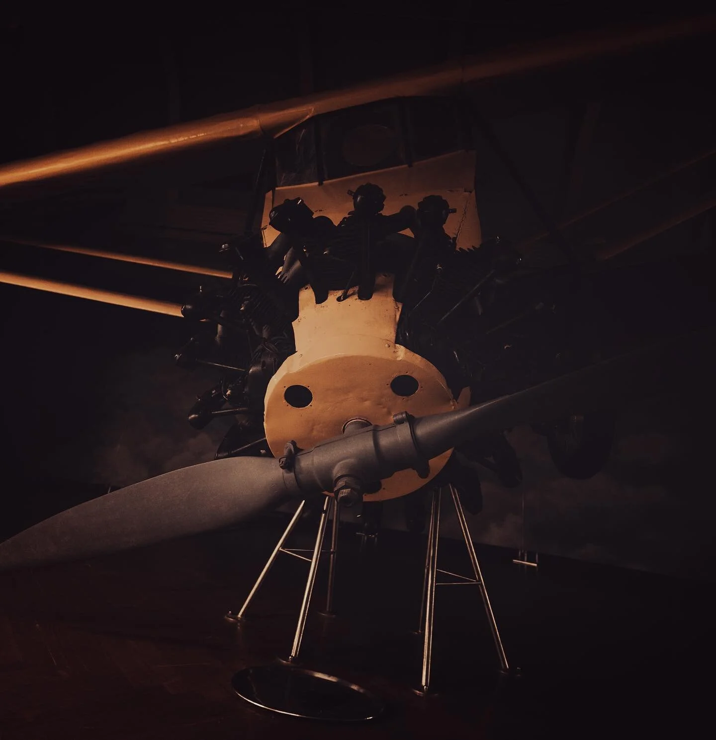 Museum vs. Airworthy Debate. Do aircraft, such as this one belong in the air or in a museum, and why?  Go!  #aviation #museums #thehenryford #nikonz6ii