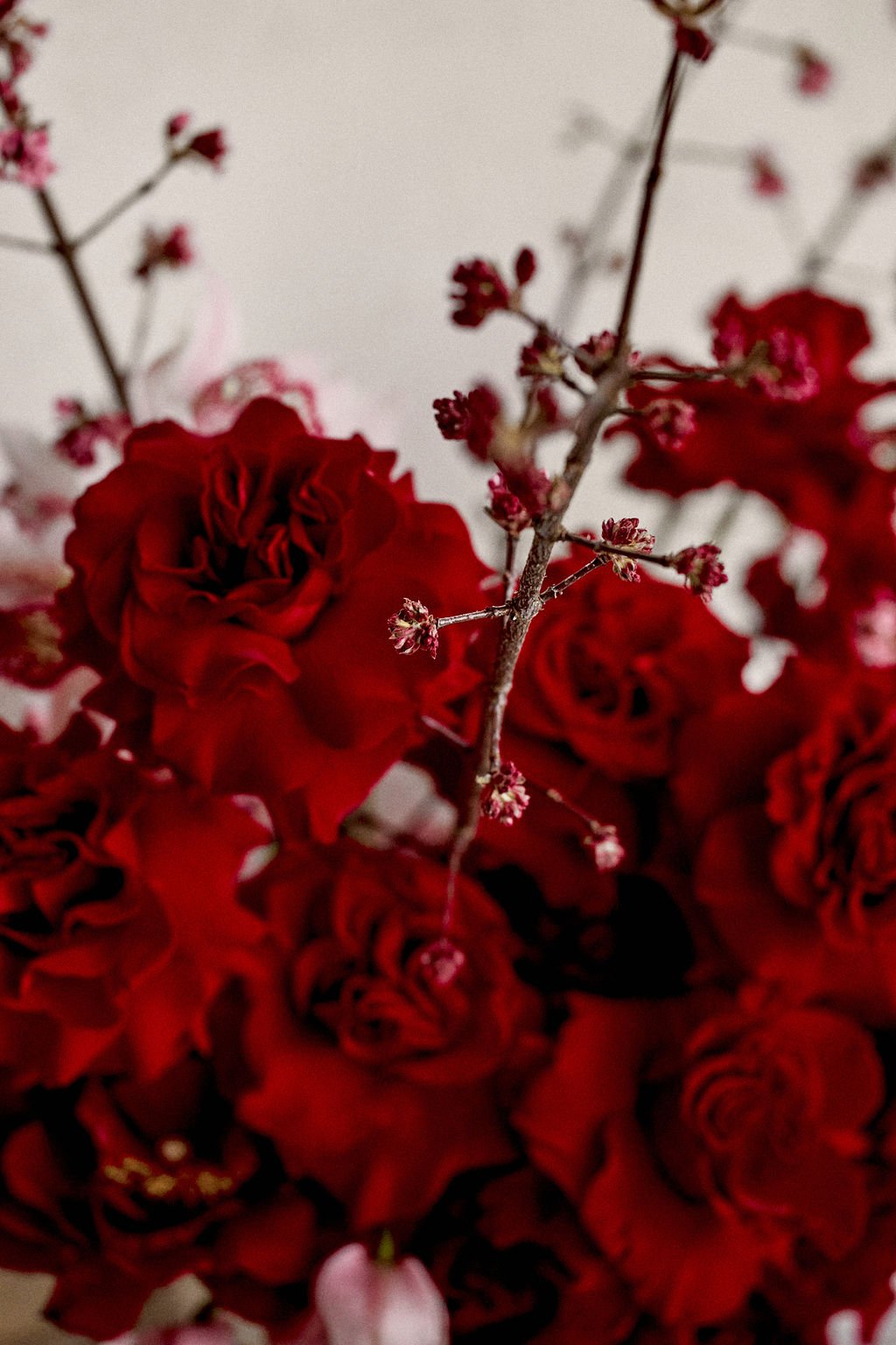2025_01_21_ORLAFLORALSTUDIO_0202.jpg