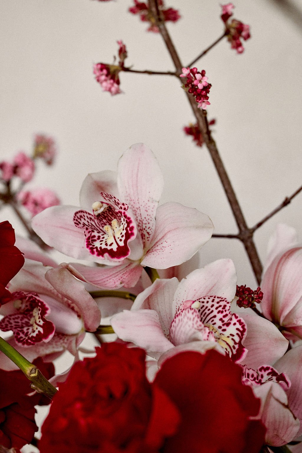 2025_01_21_ORLAFLORALSTUDIO_0180.jpg