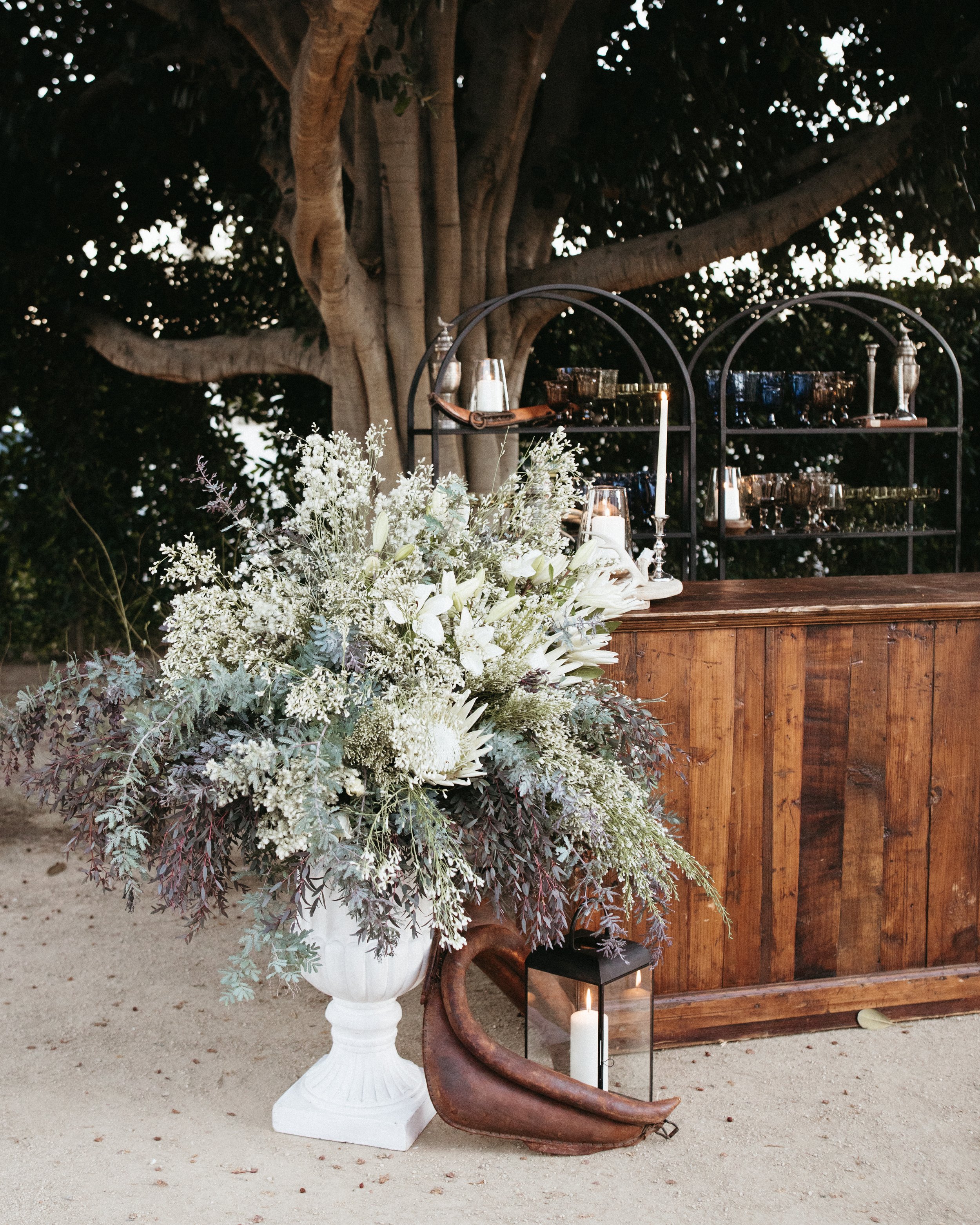 Archive Rentals Holiday Shoot