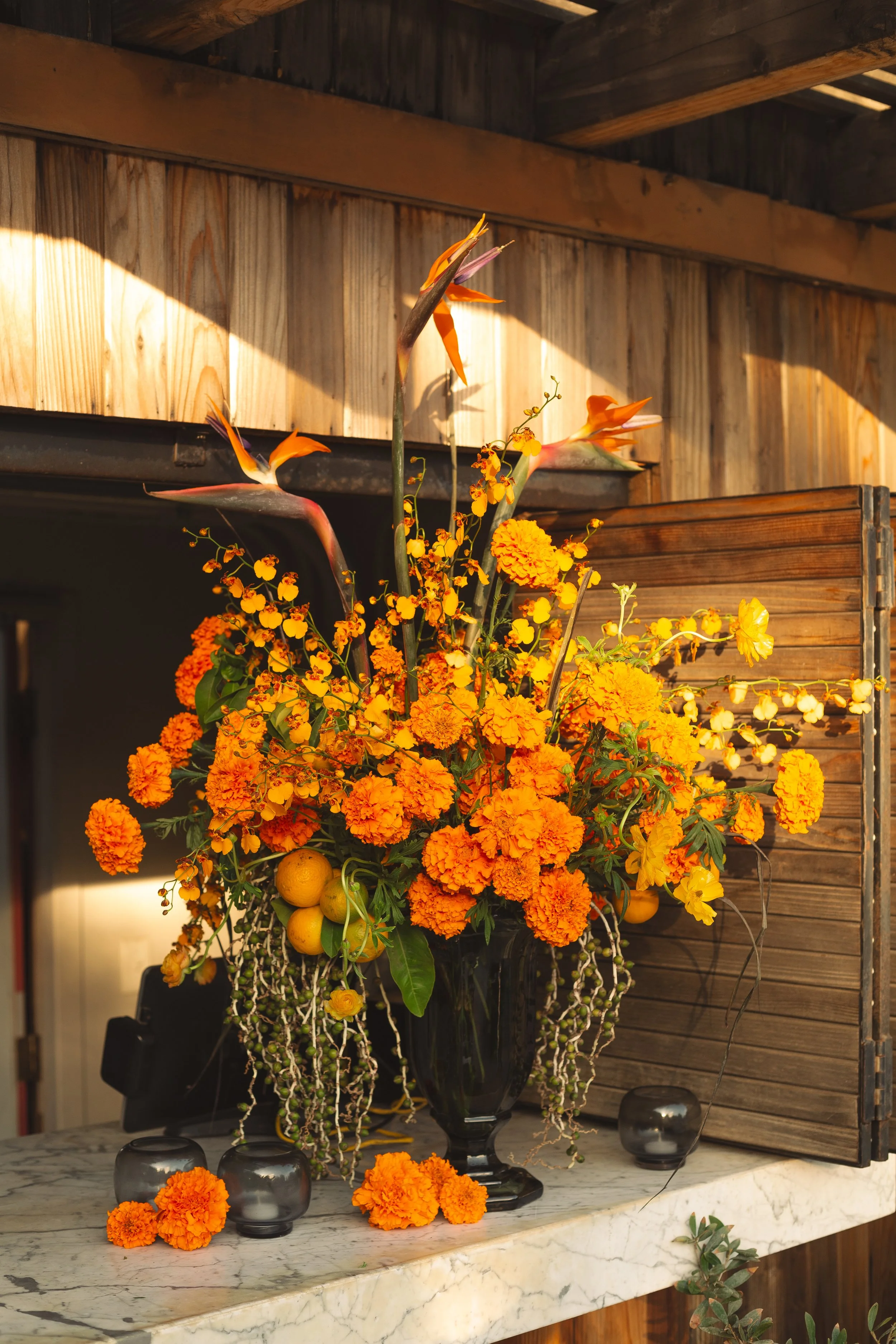 Thanksgiving Retreat 2024