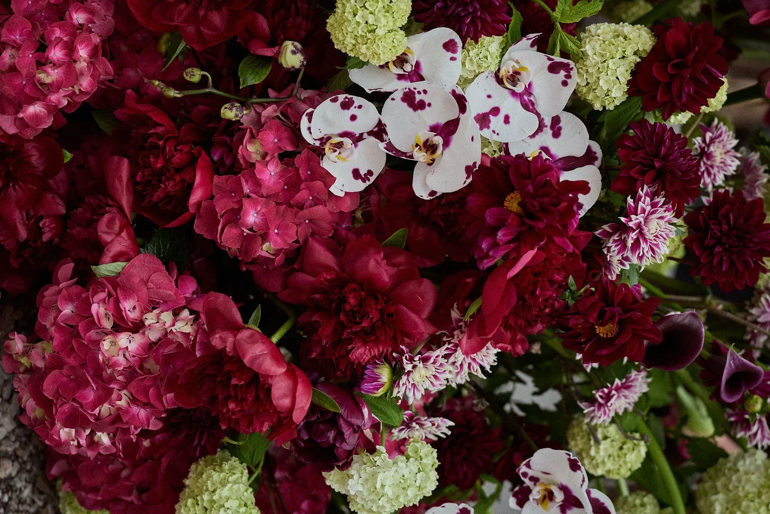 2025_05_03_ORLAFLORALSTUDIO_0047 copy.jpg