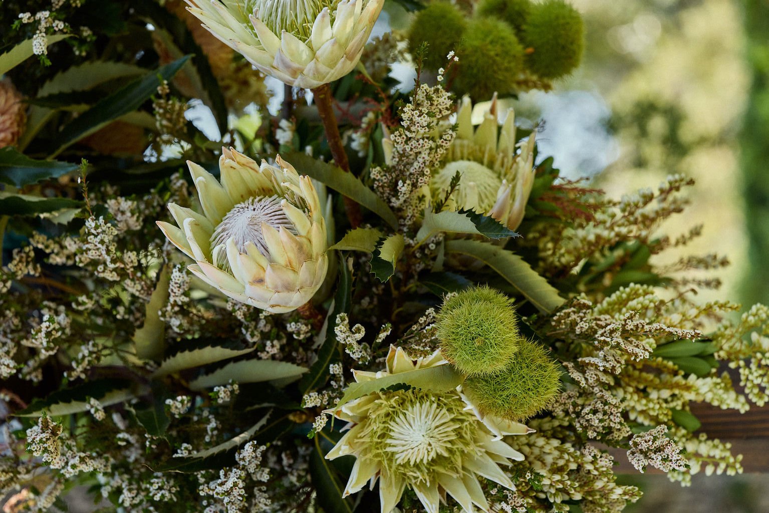 2025_09_20_ORLAFLORALSTUDIO_0089 copy.jpg