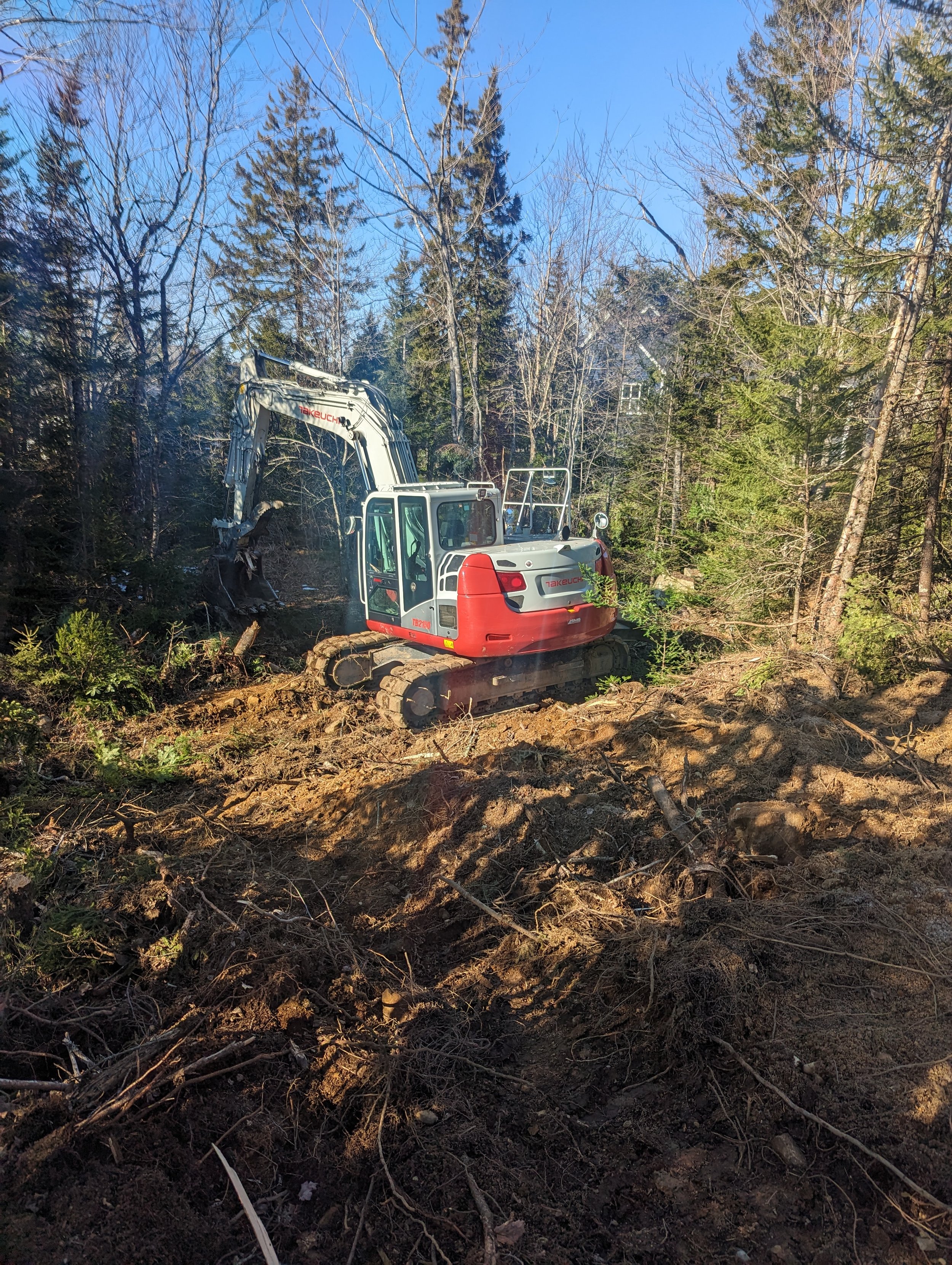 Red excavator clearing land in a wooded area with trees in the background under a clear blue sky.