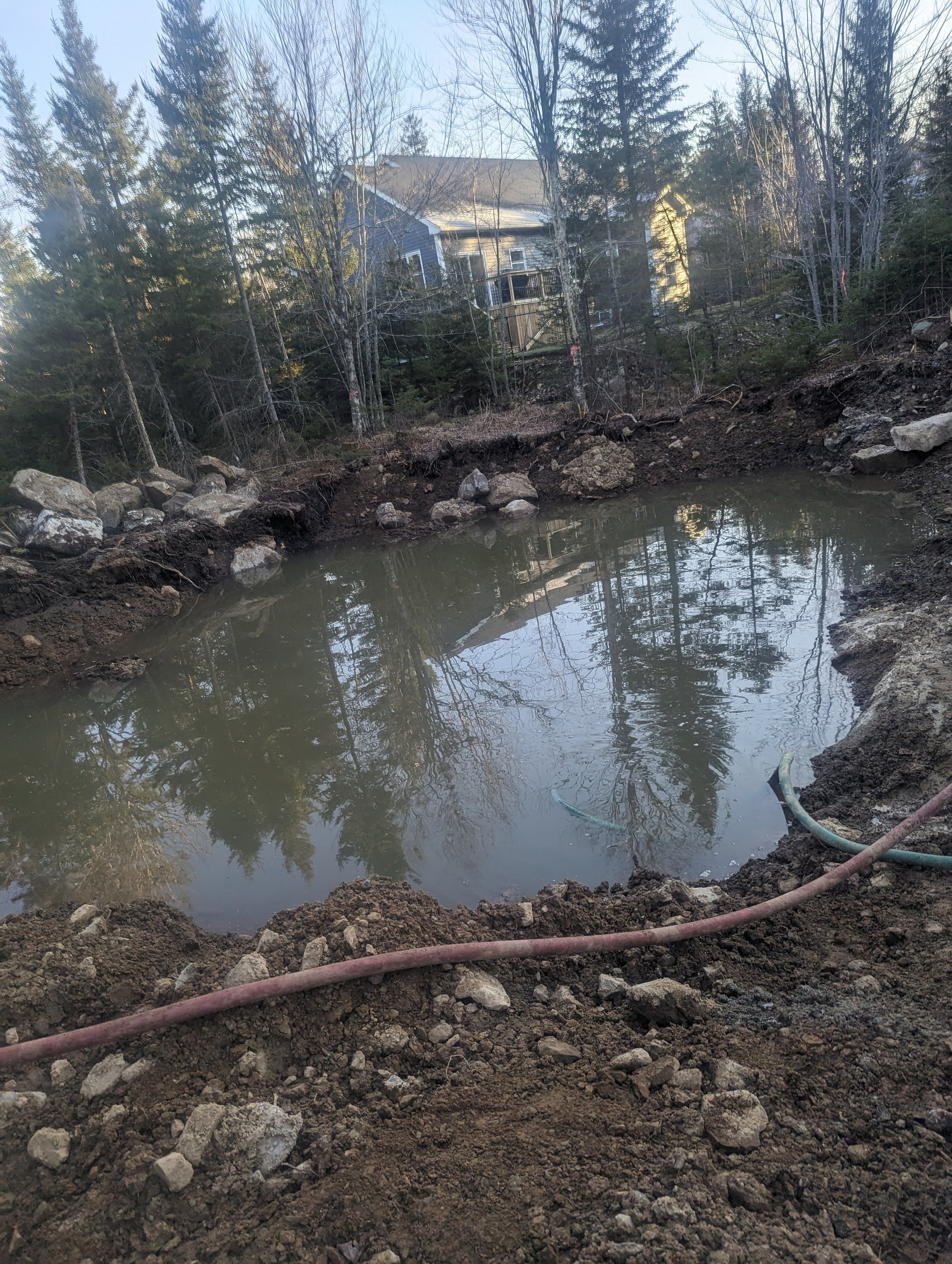 A small pond under construction in a wooded area, with scattered rocks and soil around its edges. Pine trees and a house are visible in the background. A hose is lying on the ground near the pond.