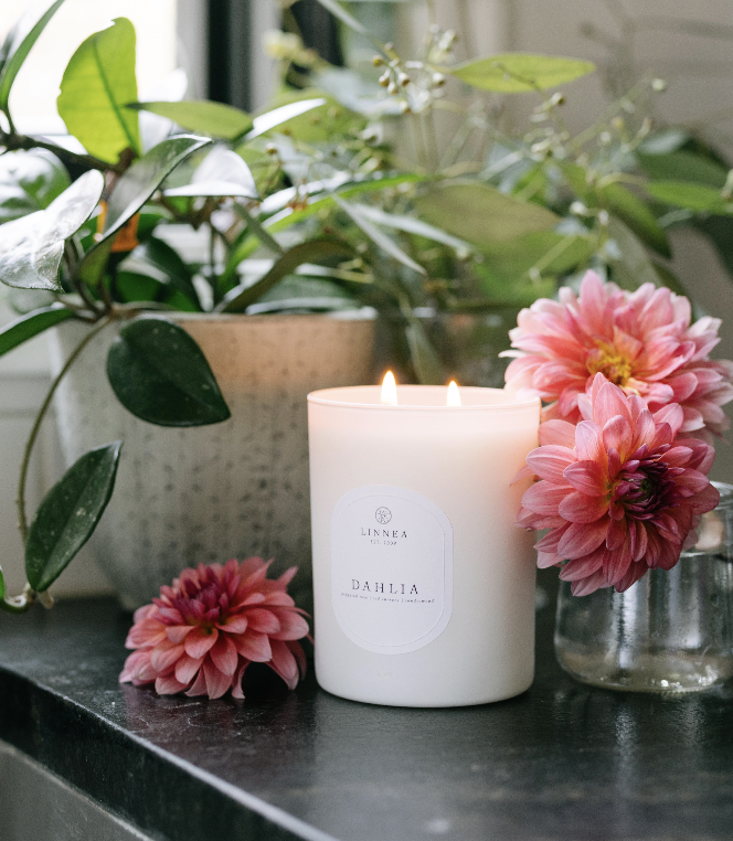 Screenshot 2026-02-07 at 3.29.43 PM.png