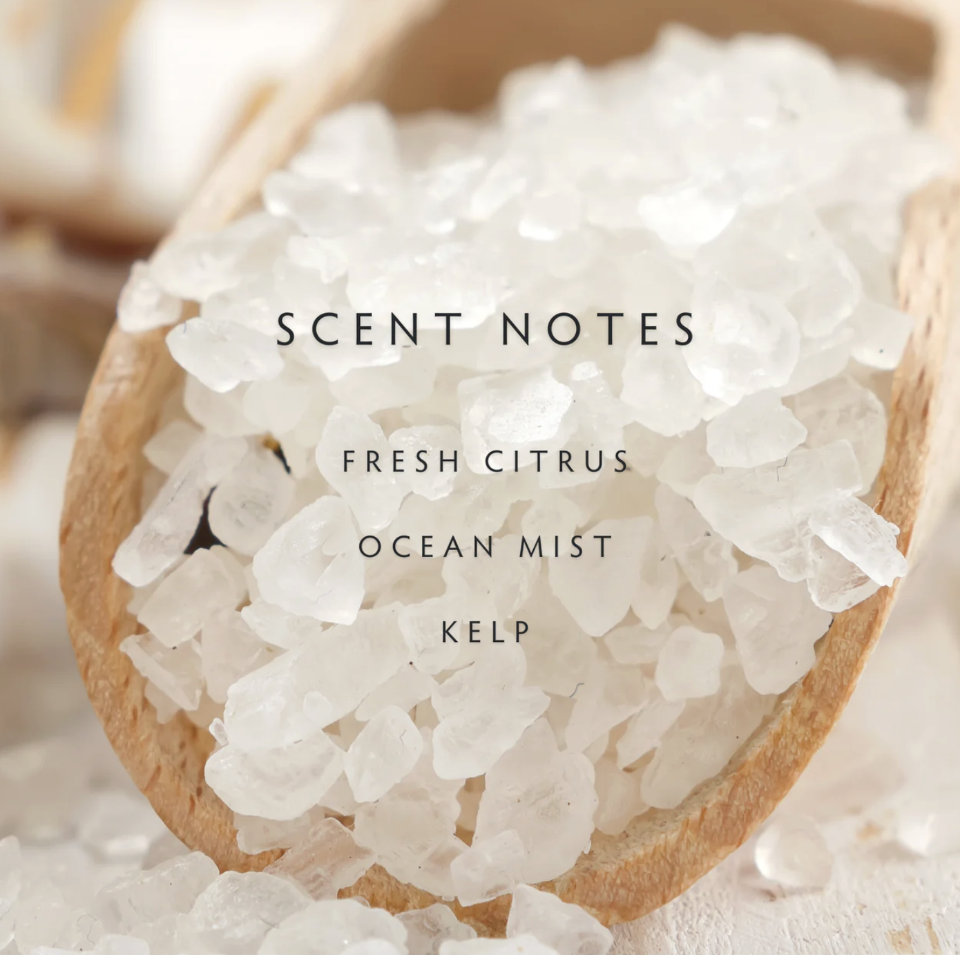 Screenshot 2026-02-07 at 4.00.42 PM.png