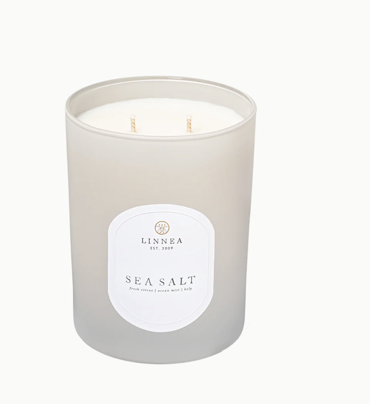 Screenshot 2026-02-07 at 4.01.07 PM.png