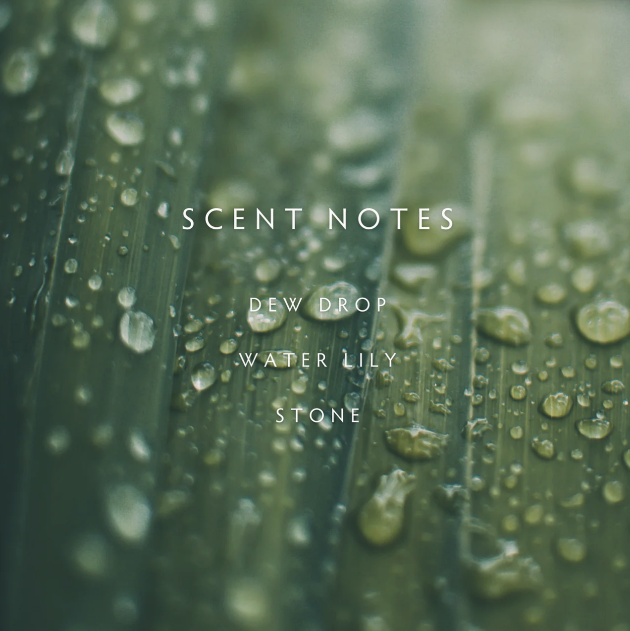 Screenshot 2026-02-07 at 3.36.37 PM.png