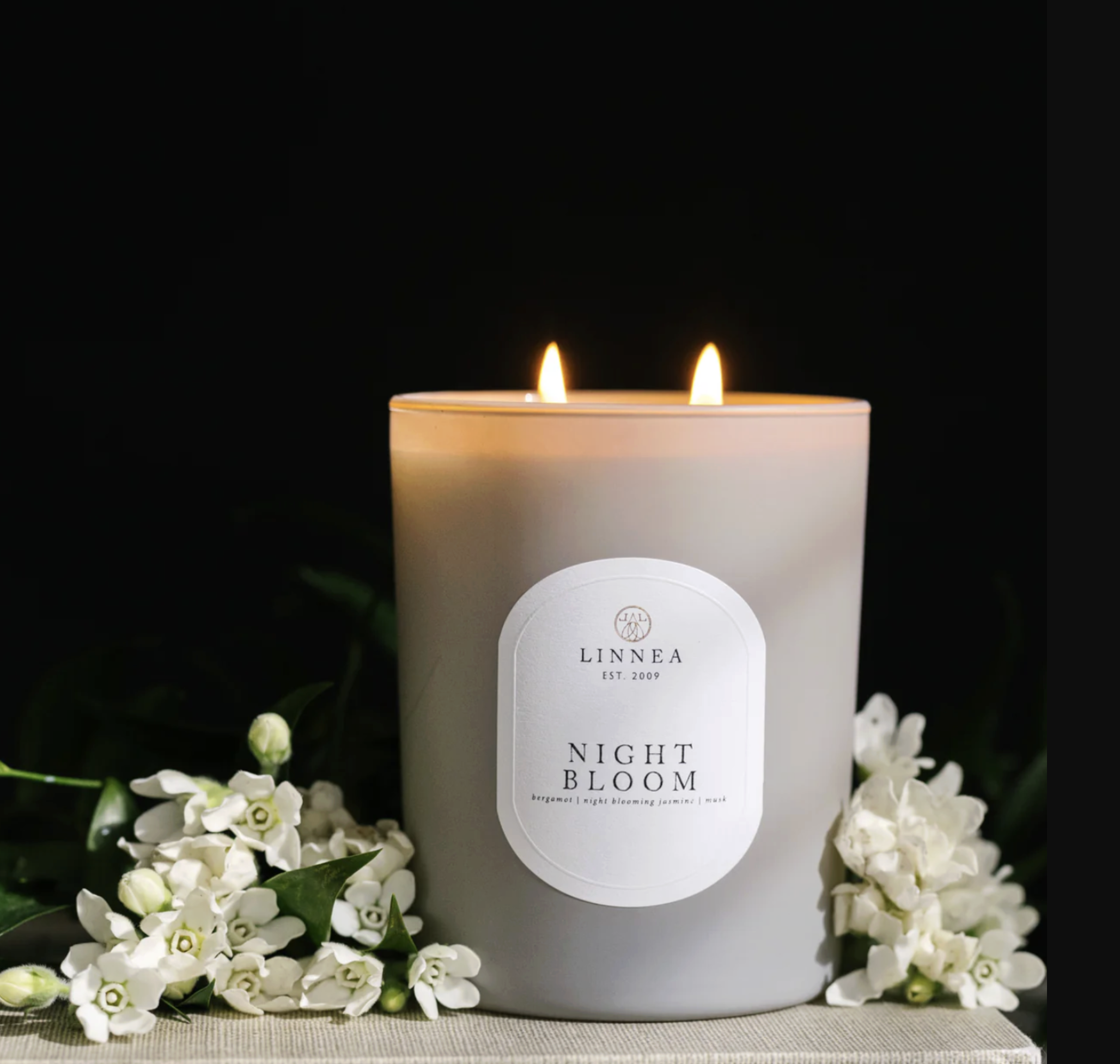 Screenshot 2026-02-07 at 2.44.36 PM.png