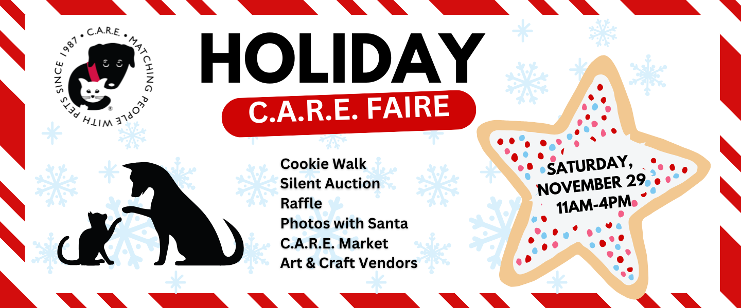 Holiday C.A.R.E. Faire