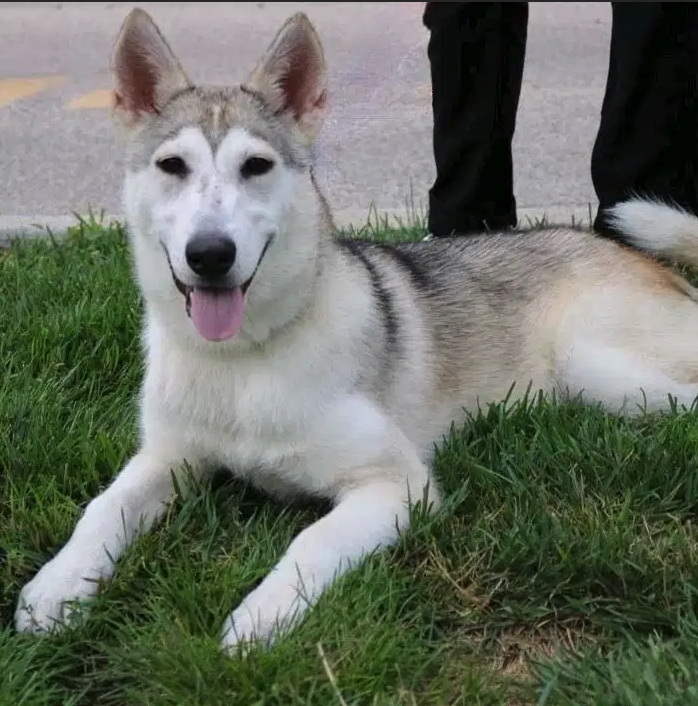 Screenshot 2026-04-02 at 12.04.45 PM.png