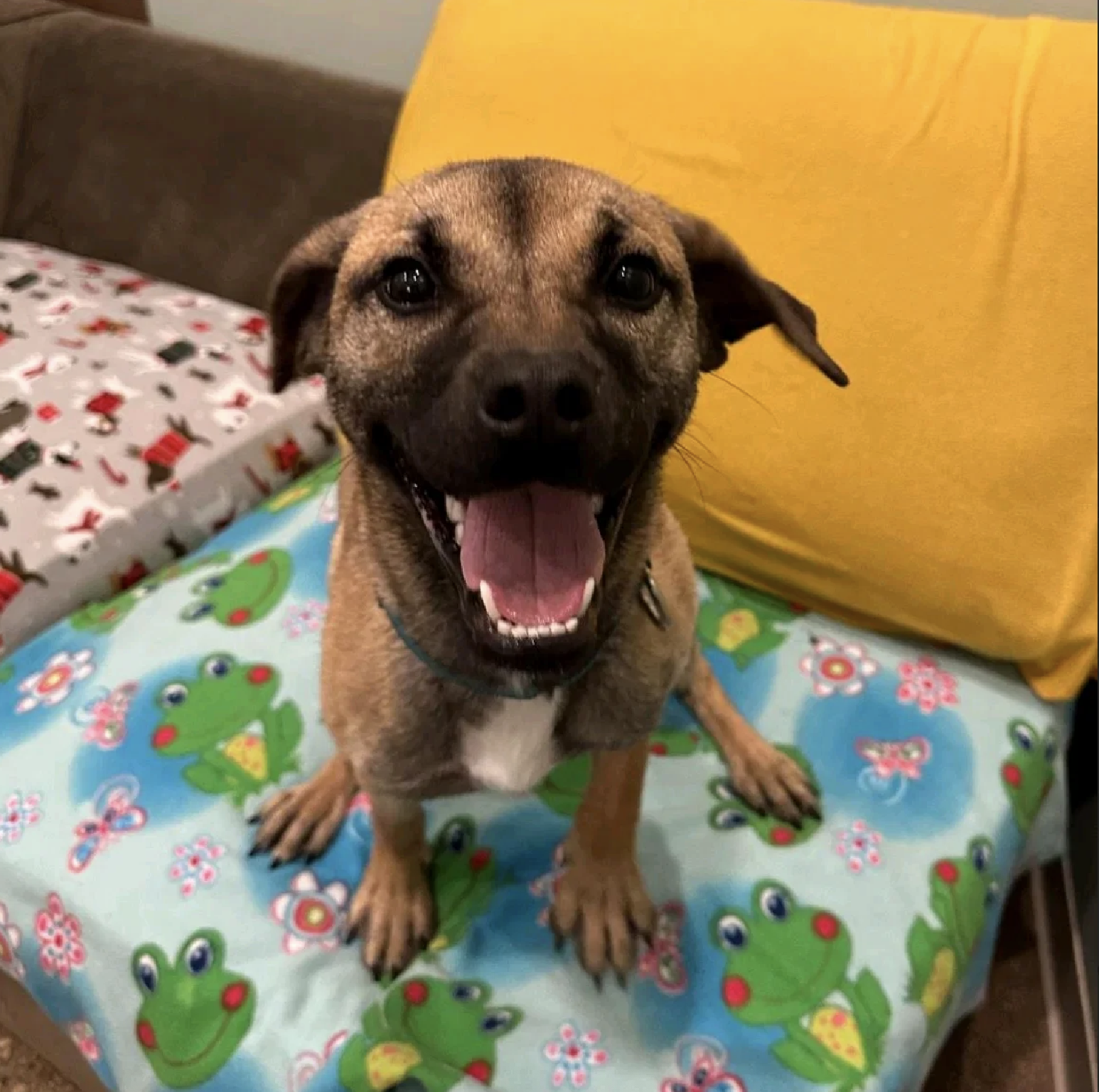 Screenshot 2026-04-02 at 12.05.08 PM.png