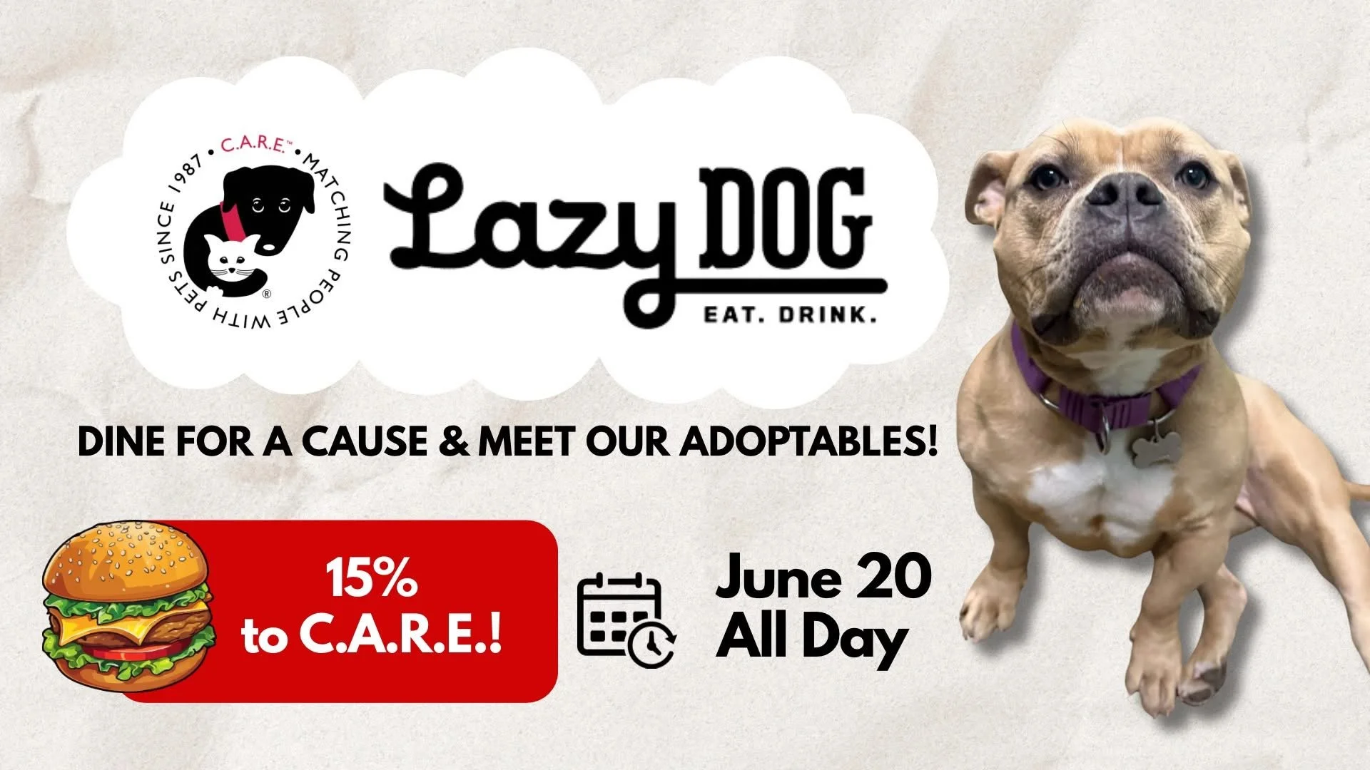 C.A.R.E. Fundraiser &amp; Friends - Lazy Dog Vernon Hills 