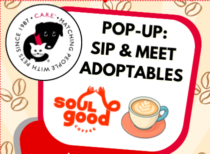Soul Good Coffee Pop-up