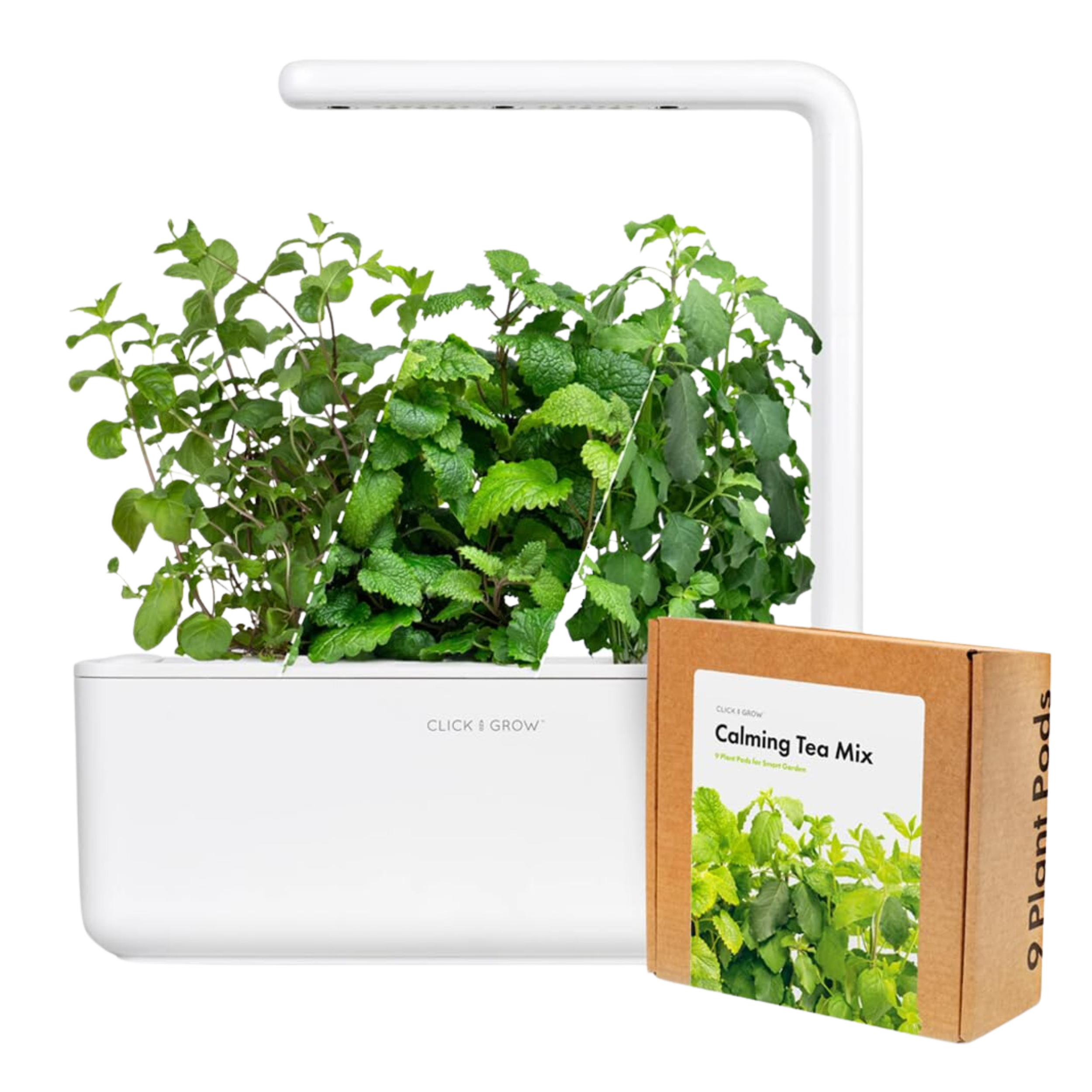 Smart Garden 3 Small Herbal Tea Kit