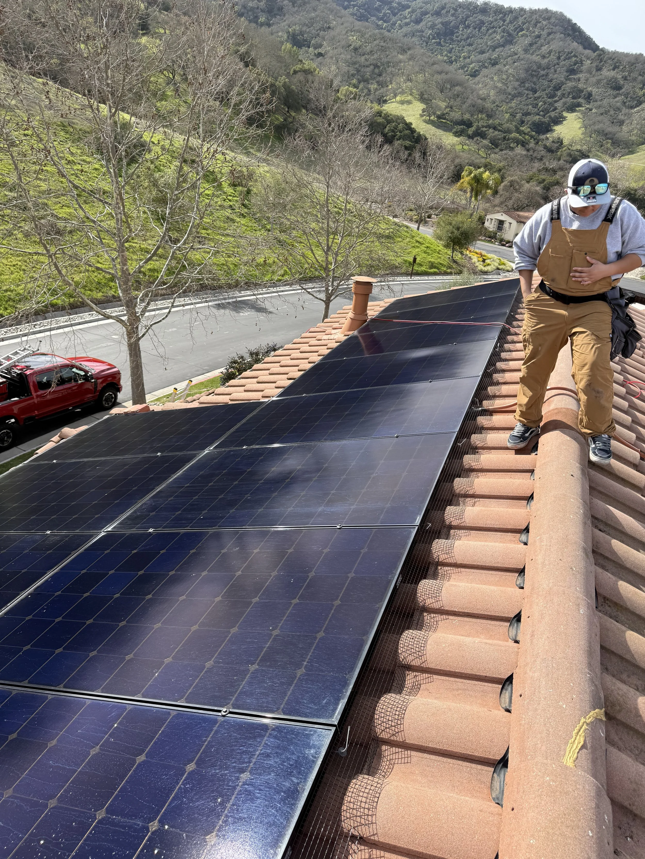 Solar panel bird abatement and nest removal beneath panels in Morgan Hill CA