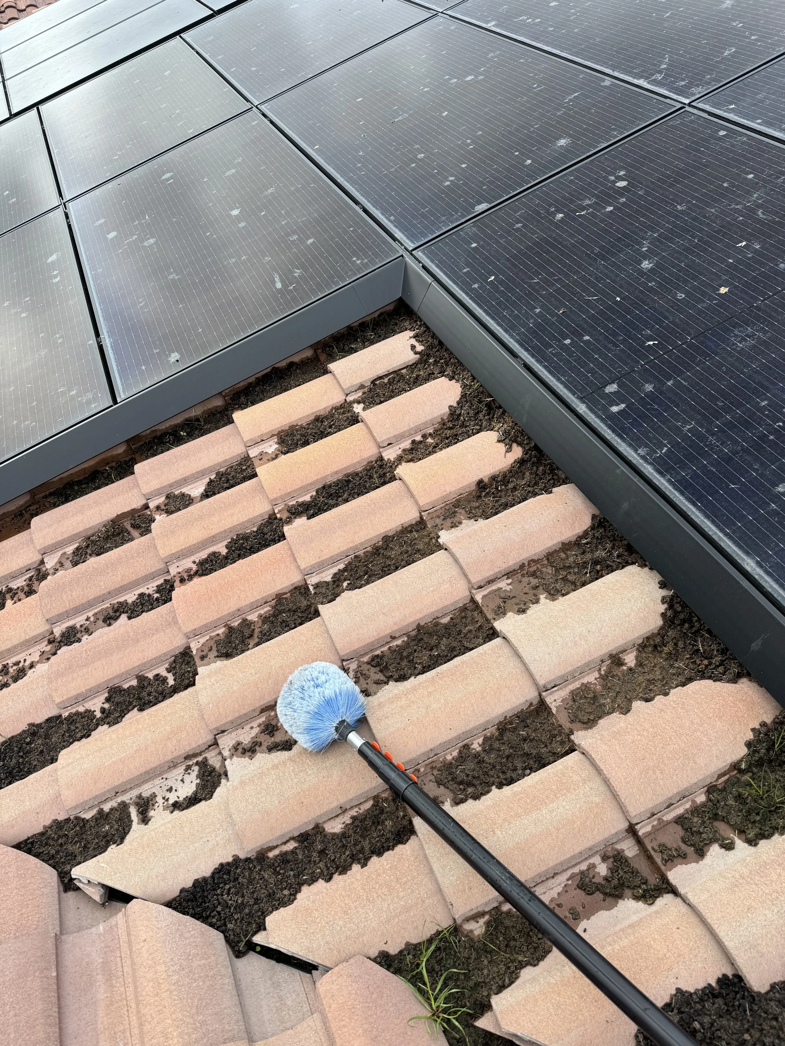 Professional solar panel bird proofing installation in San Jose with galvanized critter guard mesh