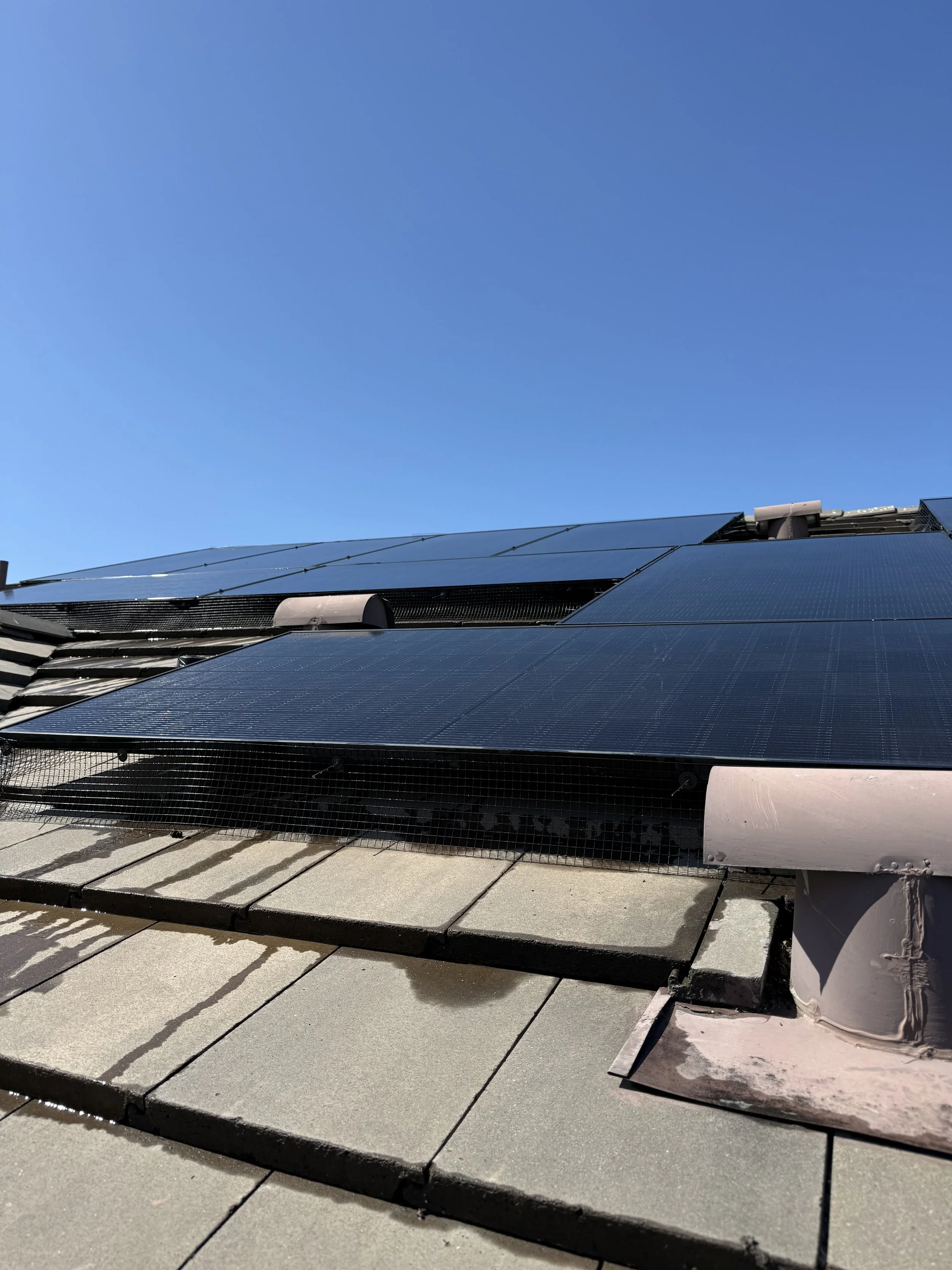 Bird spike installation on roof ridge to prevent pigeons near solar panels in South Bay