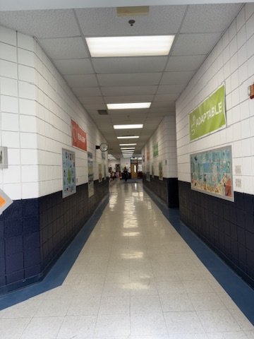 D1961DE7-6E6C-44F0-A170-877C0B605FCF_4_5005_c.jpeg