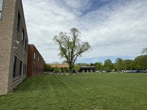 780E61AF-DB91-46F7-8318-165B5629BAF2_4_5005_c.jpeg