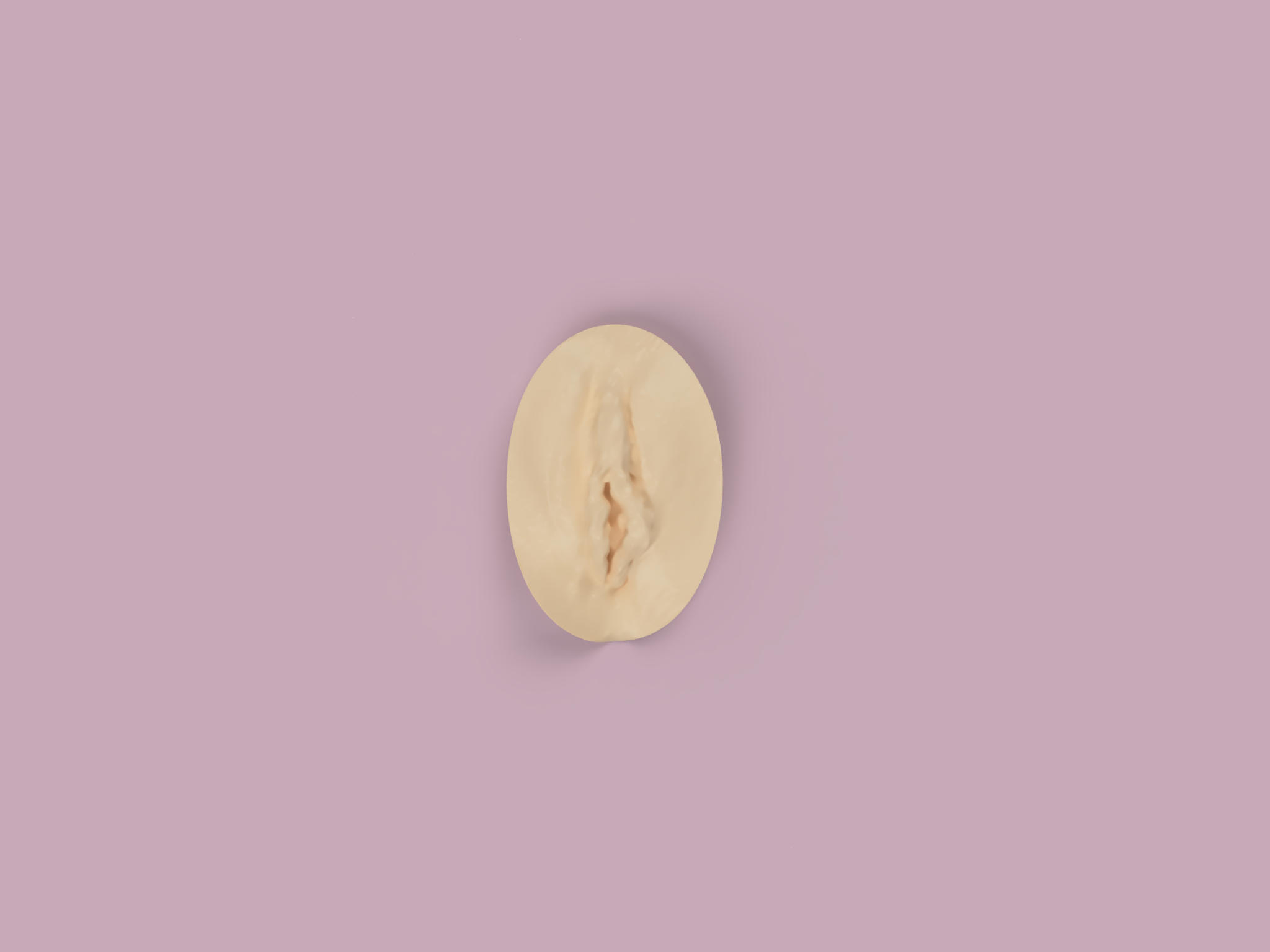 All_rendes_of_vaginas_2024-Jan-07_03-27-45PM-000_CustomizedView38669643659.png