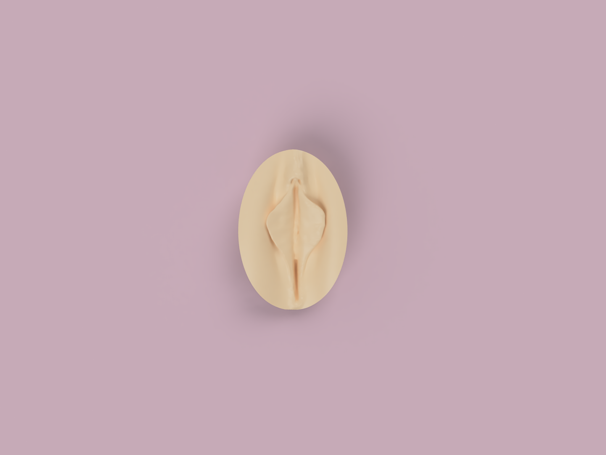 All_rendes_of_vaginas_2024-Jan-07_03-23-37PM-000_CustomizedView38669643659.png