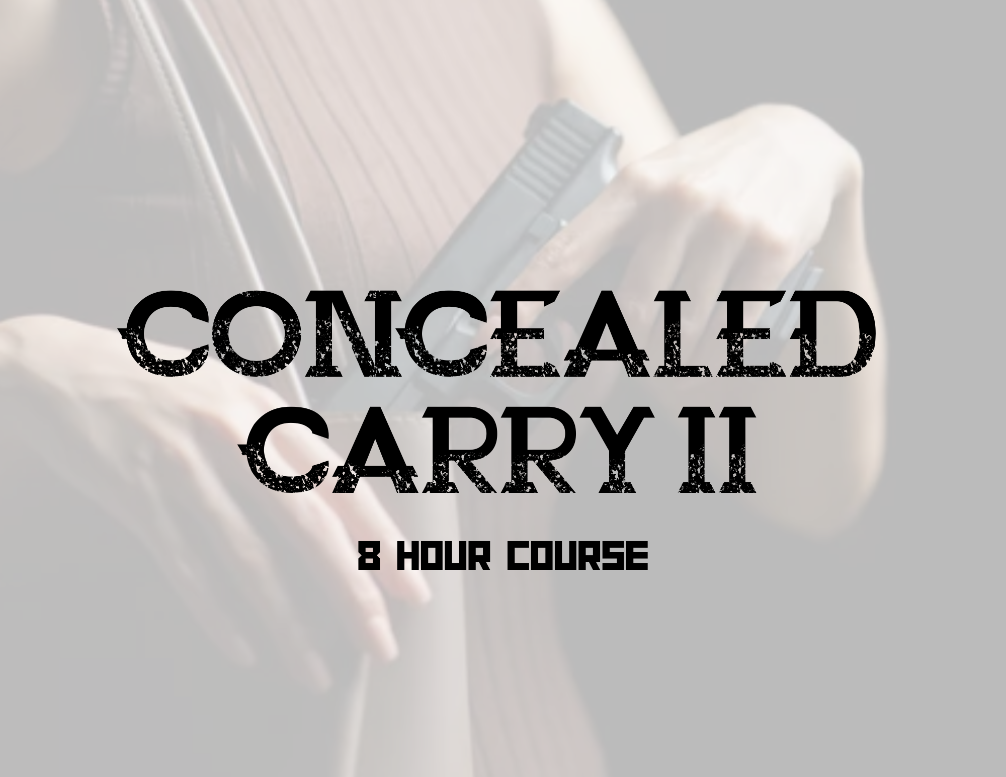 Concealed Carry II
