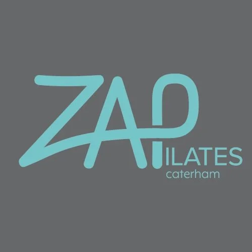 ZAP logo.jpg