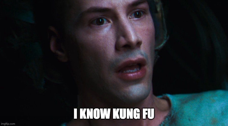 “Je connais le kungfu”
