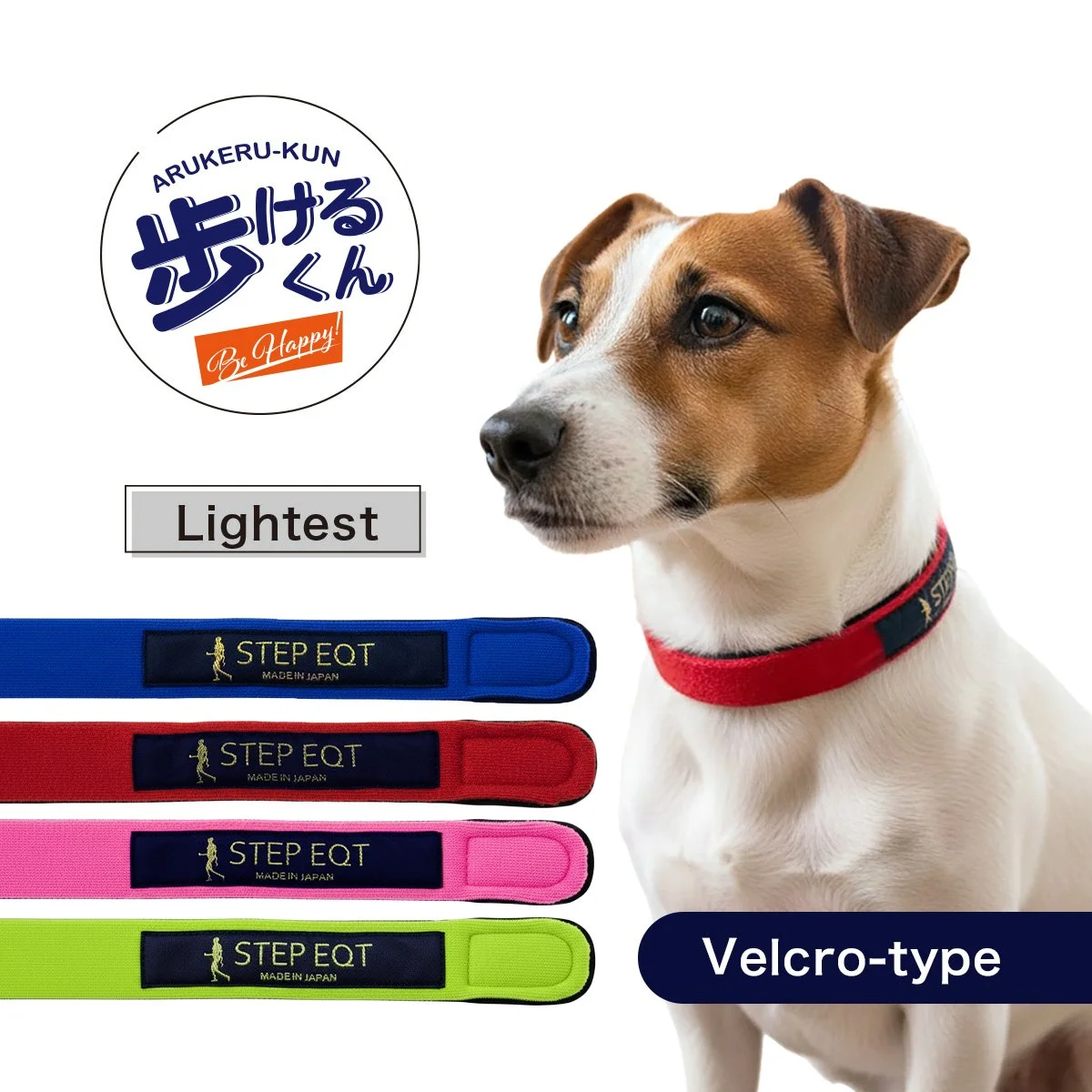 M00歩けるくん_top copy.jpg