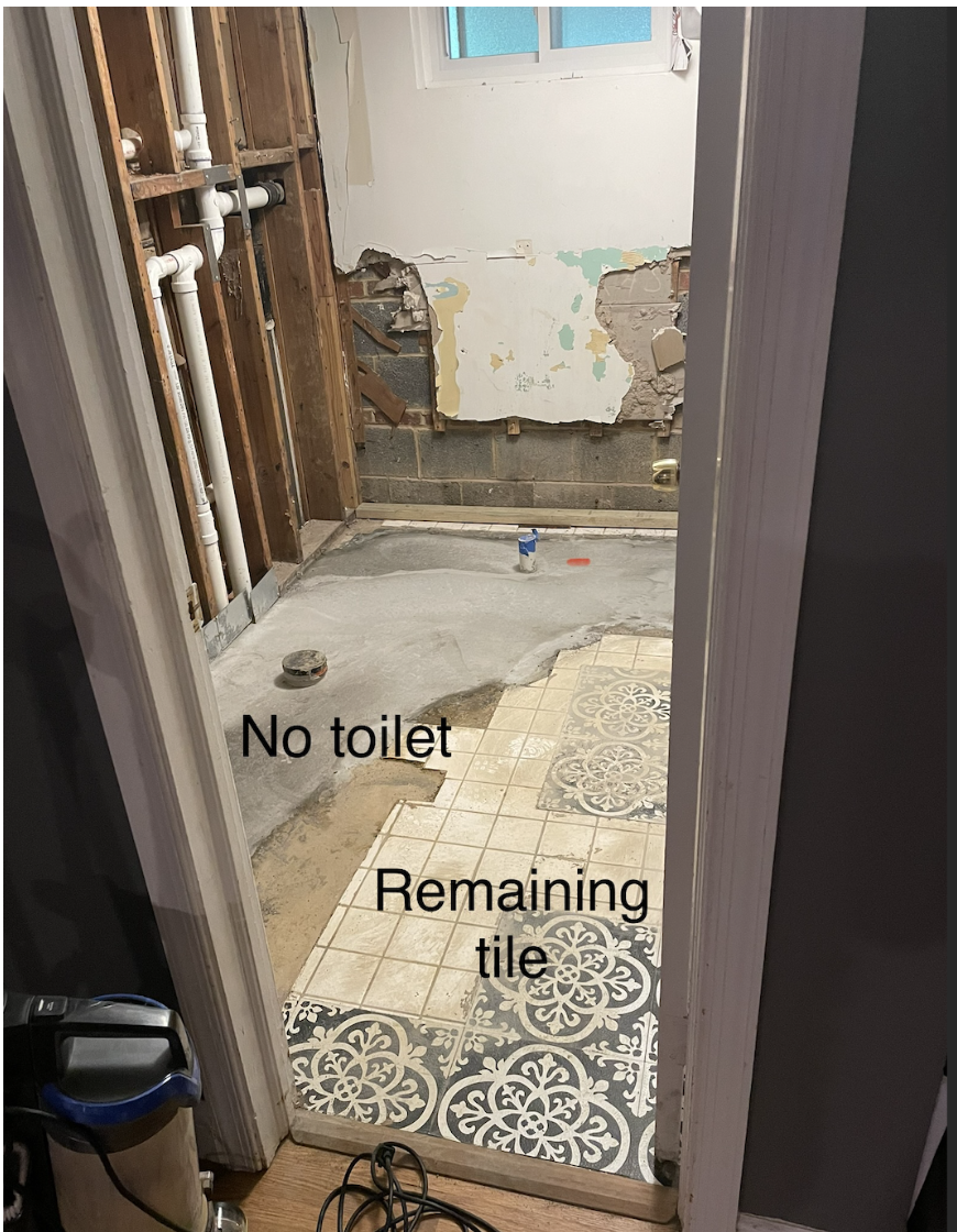 INTERIM: you can see the vinyl peel and stick tile used for the "quick and dirty" floral facelift down right, with the ugly original beige tile underneath. Everywhere you see concrete was a giant hole in the ground big enough to fit a couple of big d