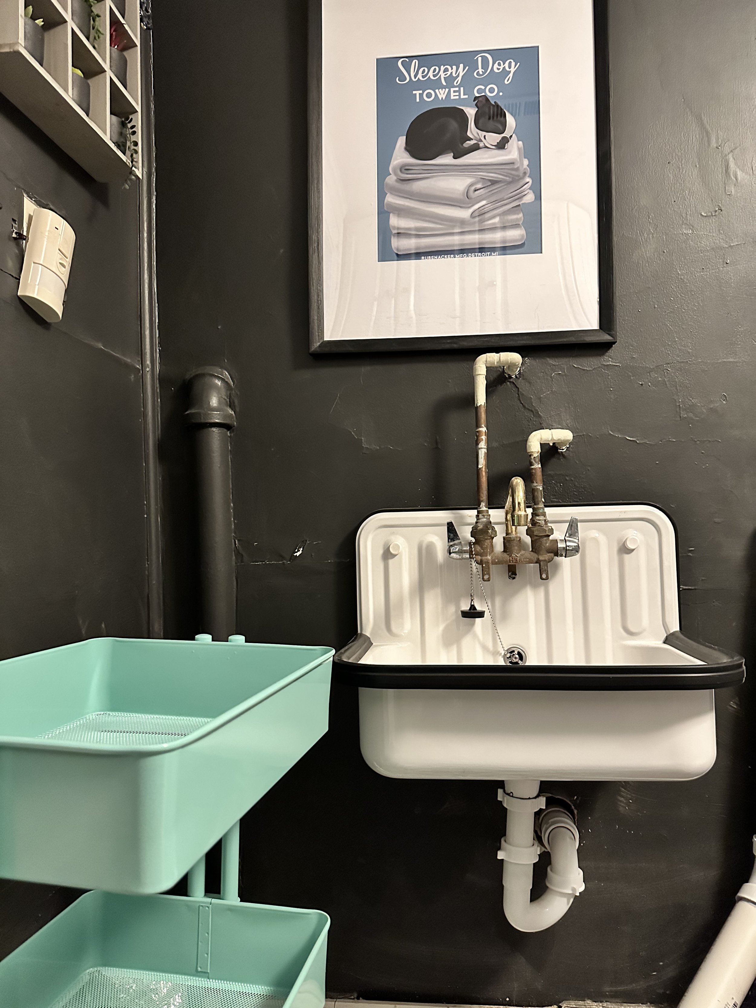 And hey, I got a new laundry room sink out of it!  Isn't this little cast iron guy adorable? 